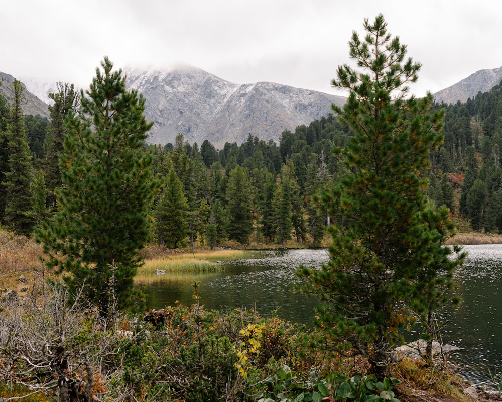 a lake surrounded by trees with mountains in the background