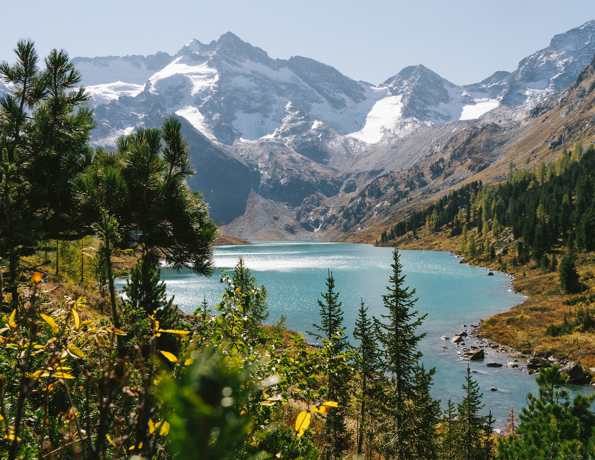 a view of a mountain lake surrounded by pine trees