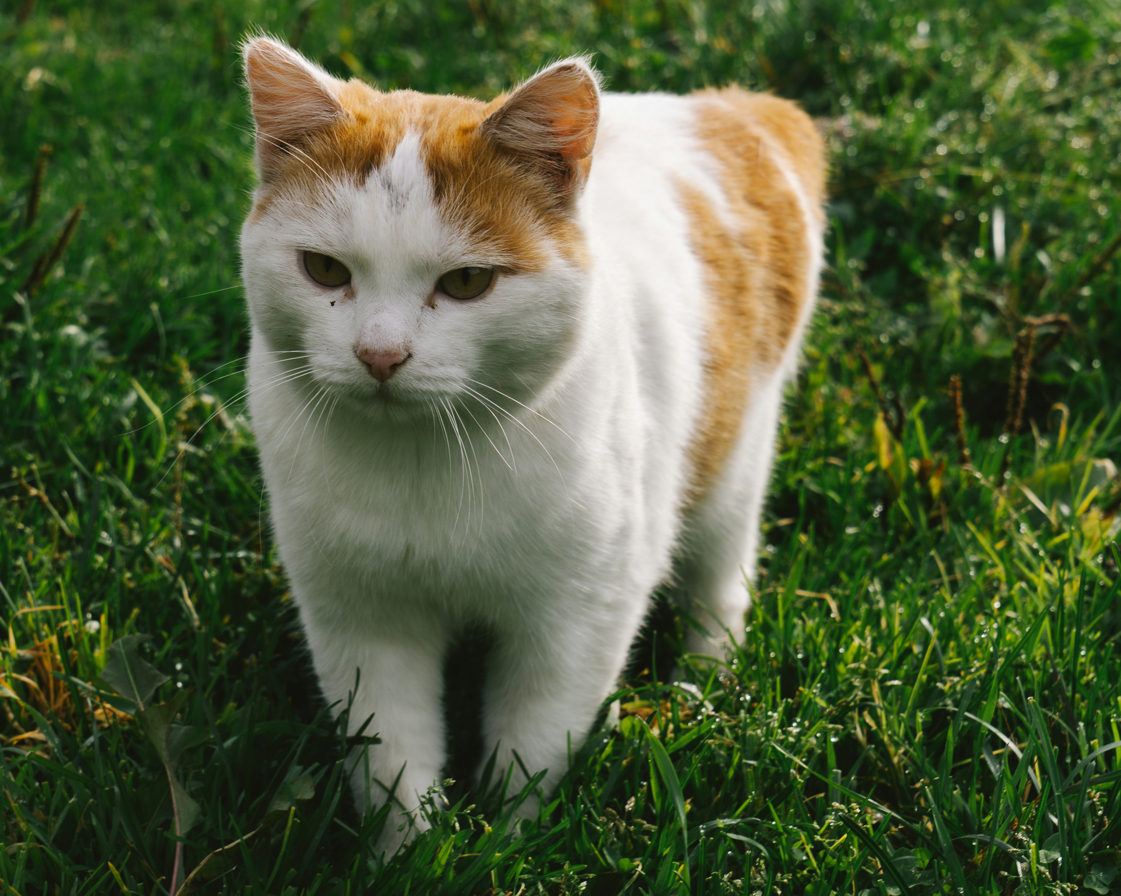 Photo by alexanderklimm