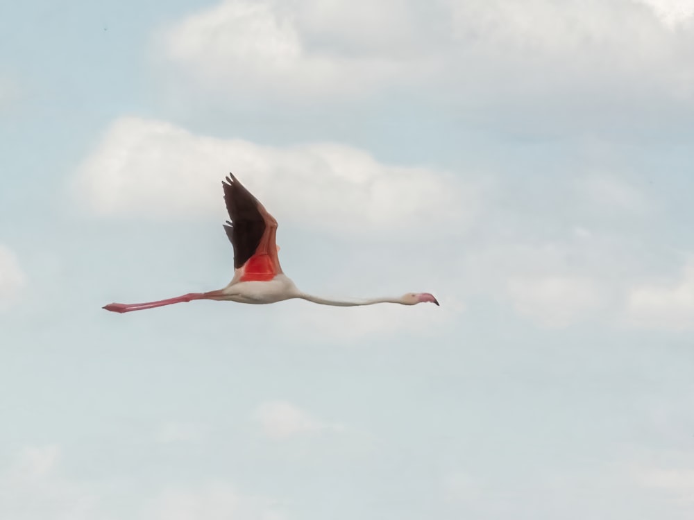 a large bird flying through a cloudy blue sky