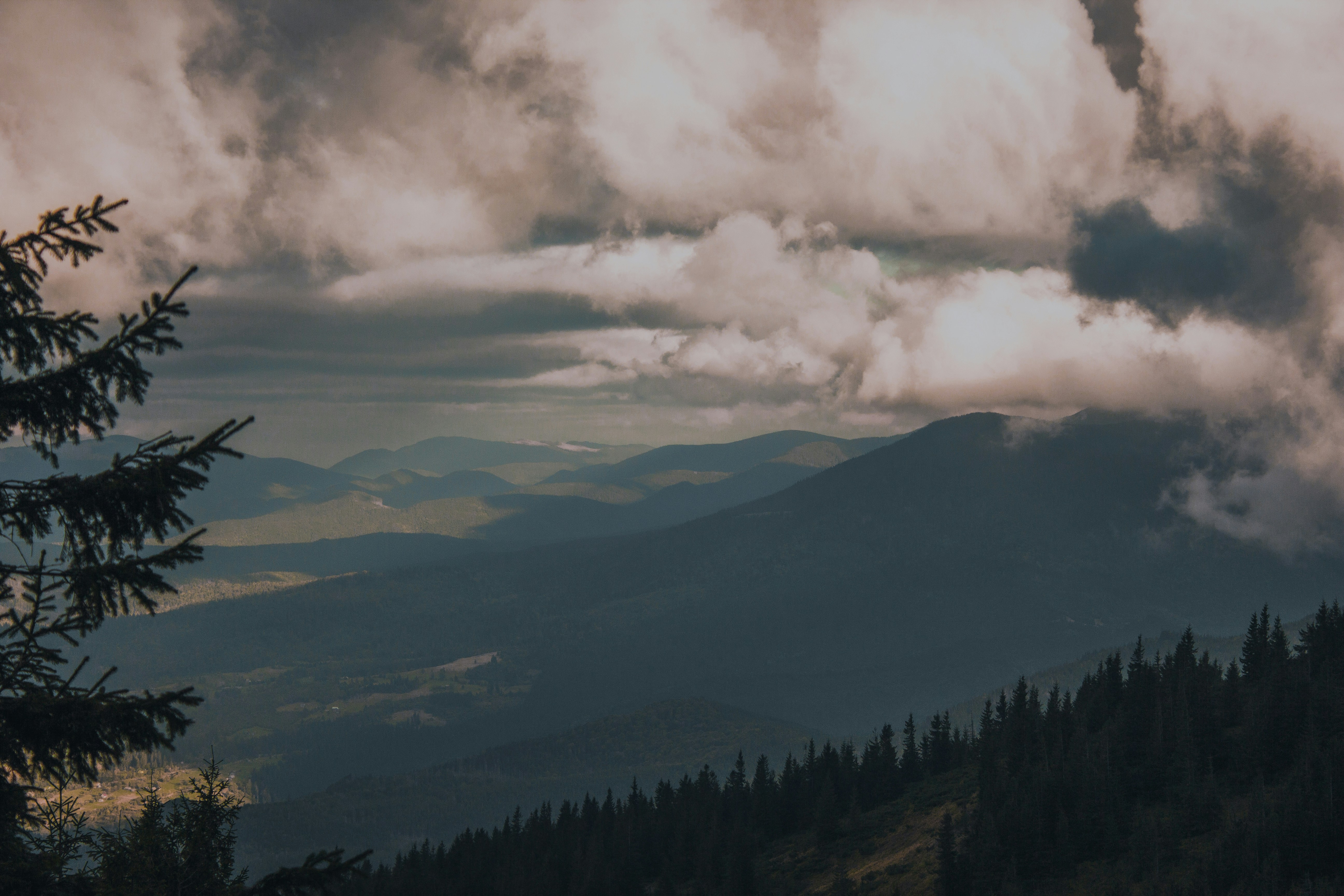 Photo by samoyedness