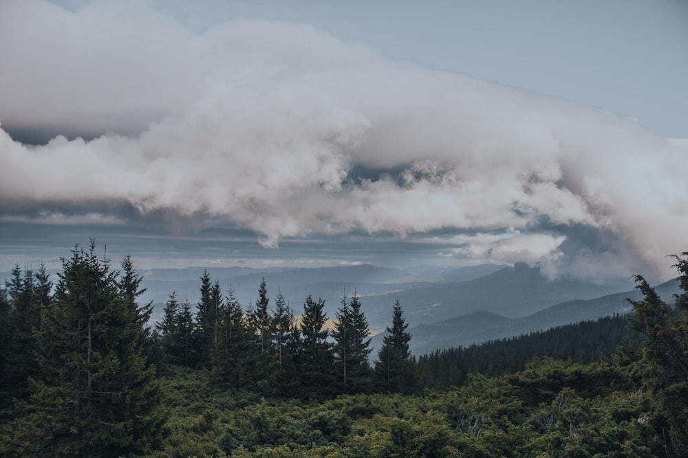 a large cloud hangs over a forested area