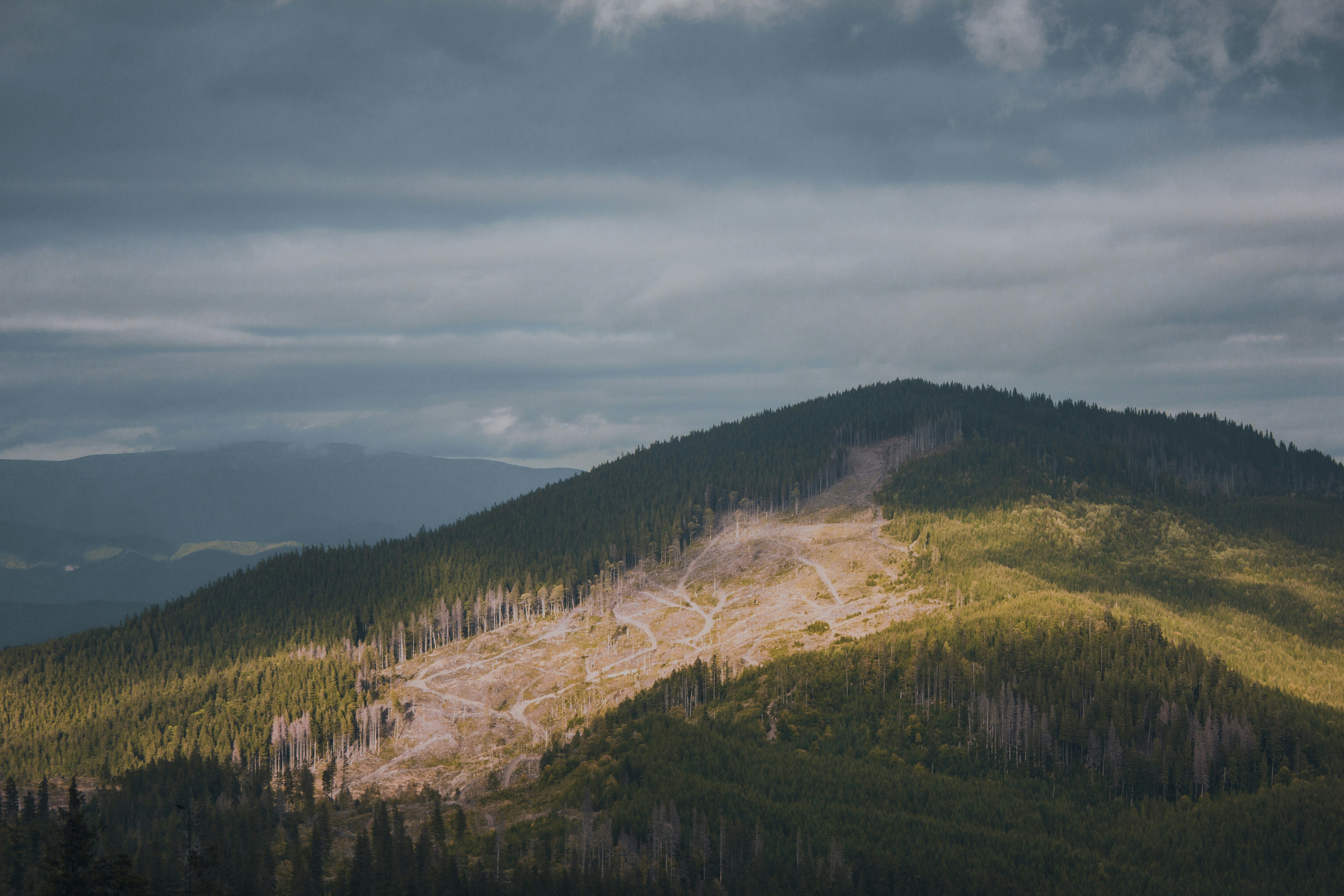 Photo by samoyedness