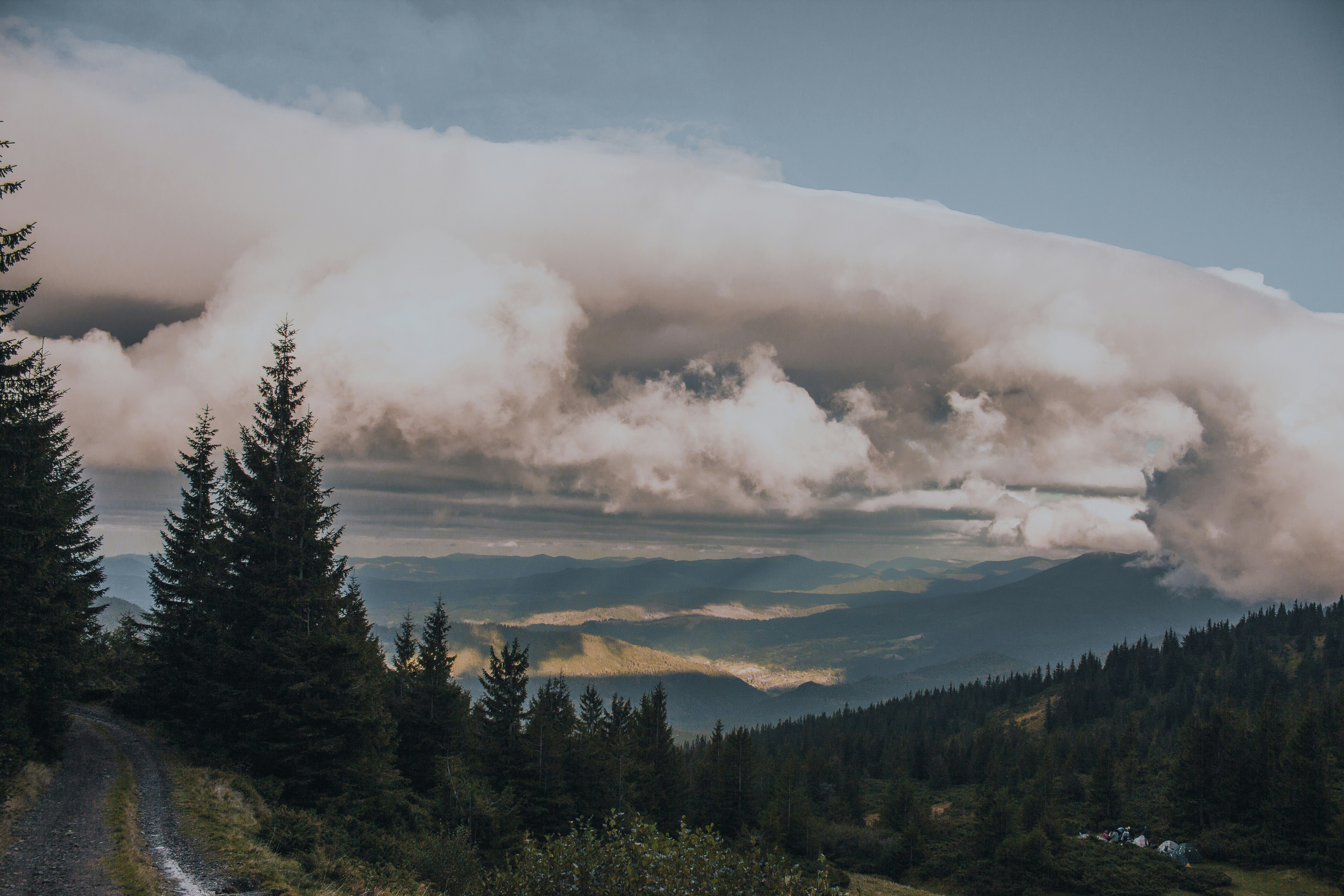 Photo by samoyedness