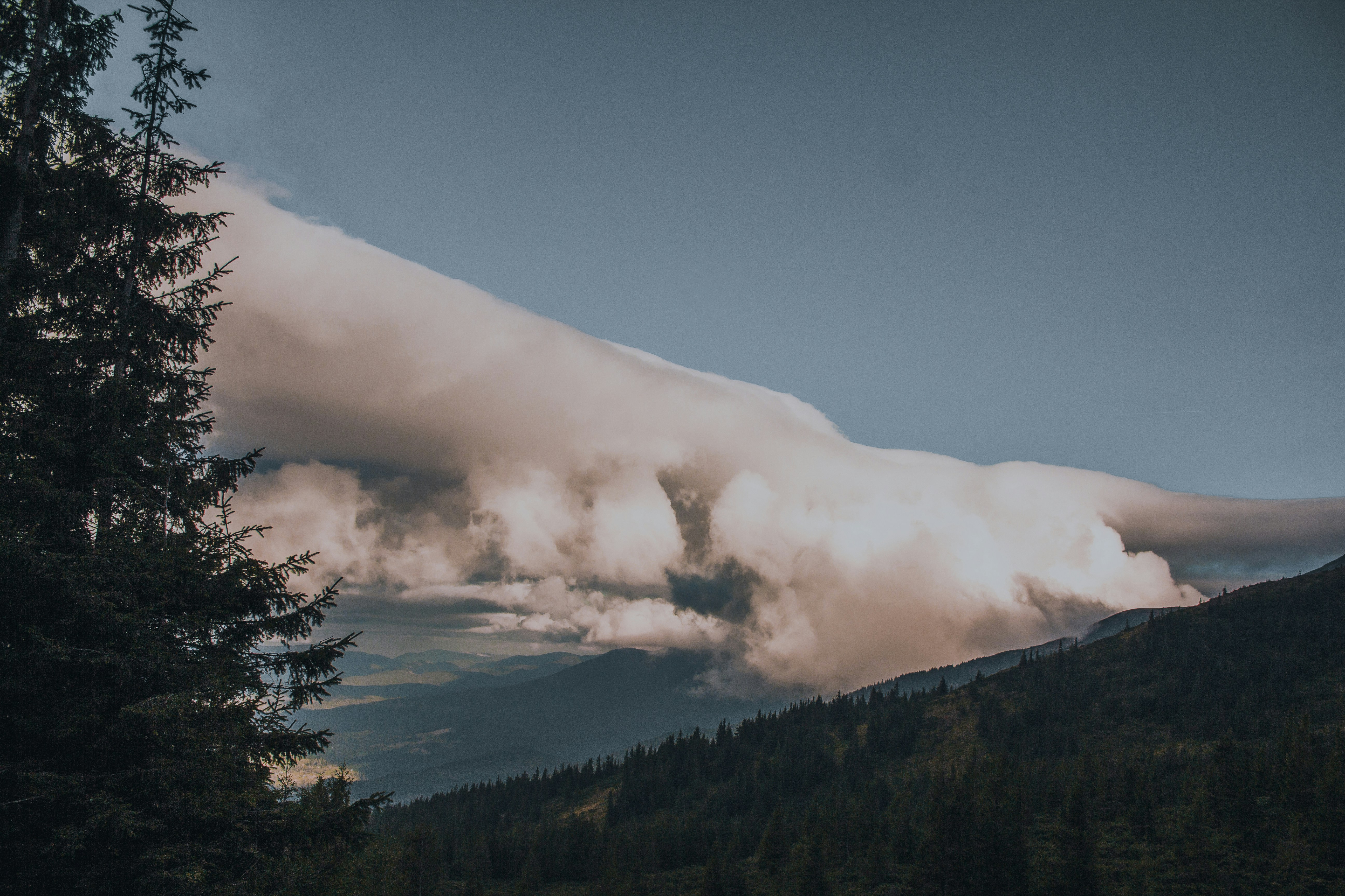 Photo by samoyedness