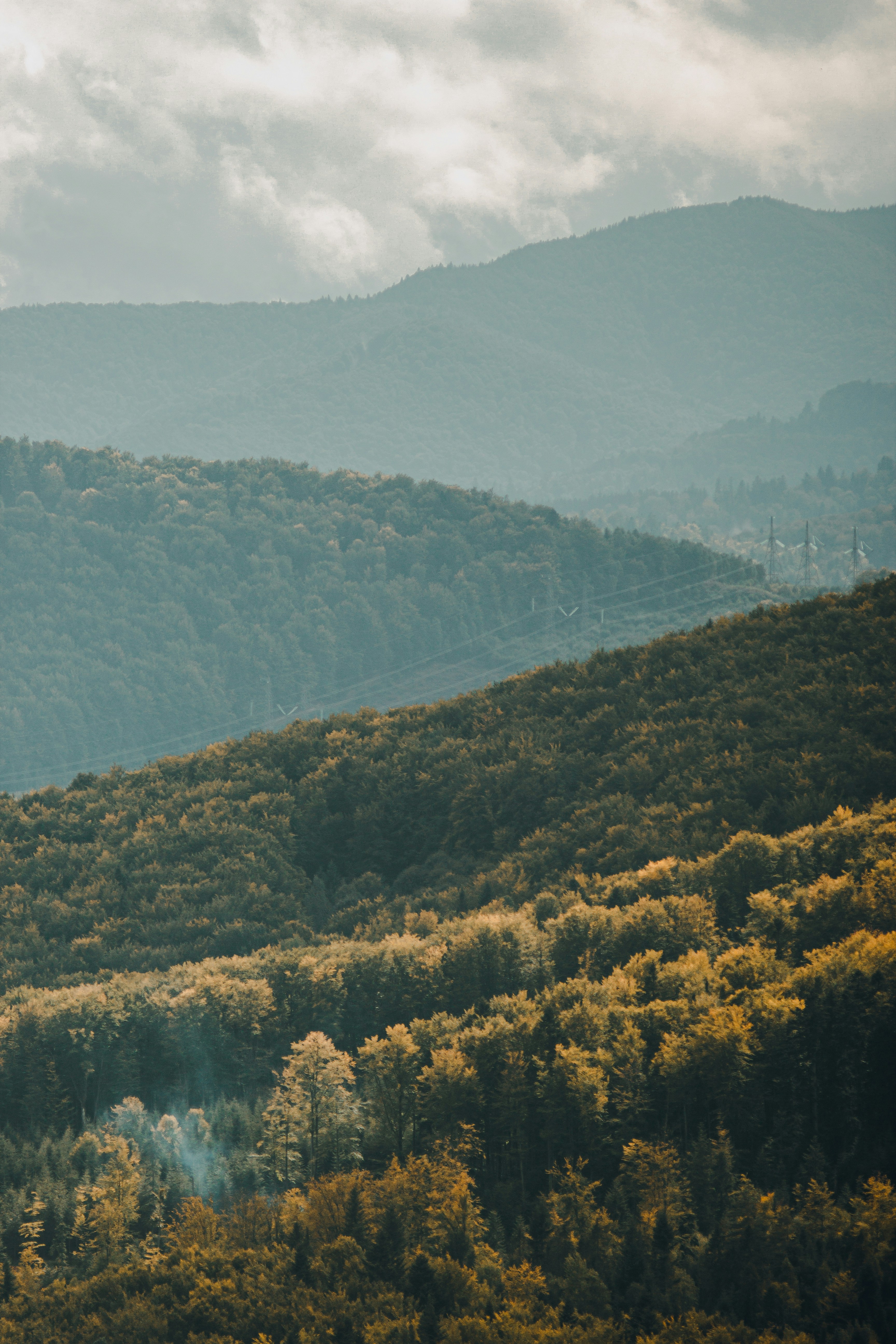 Photo by samoyedness