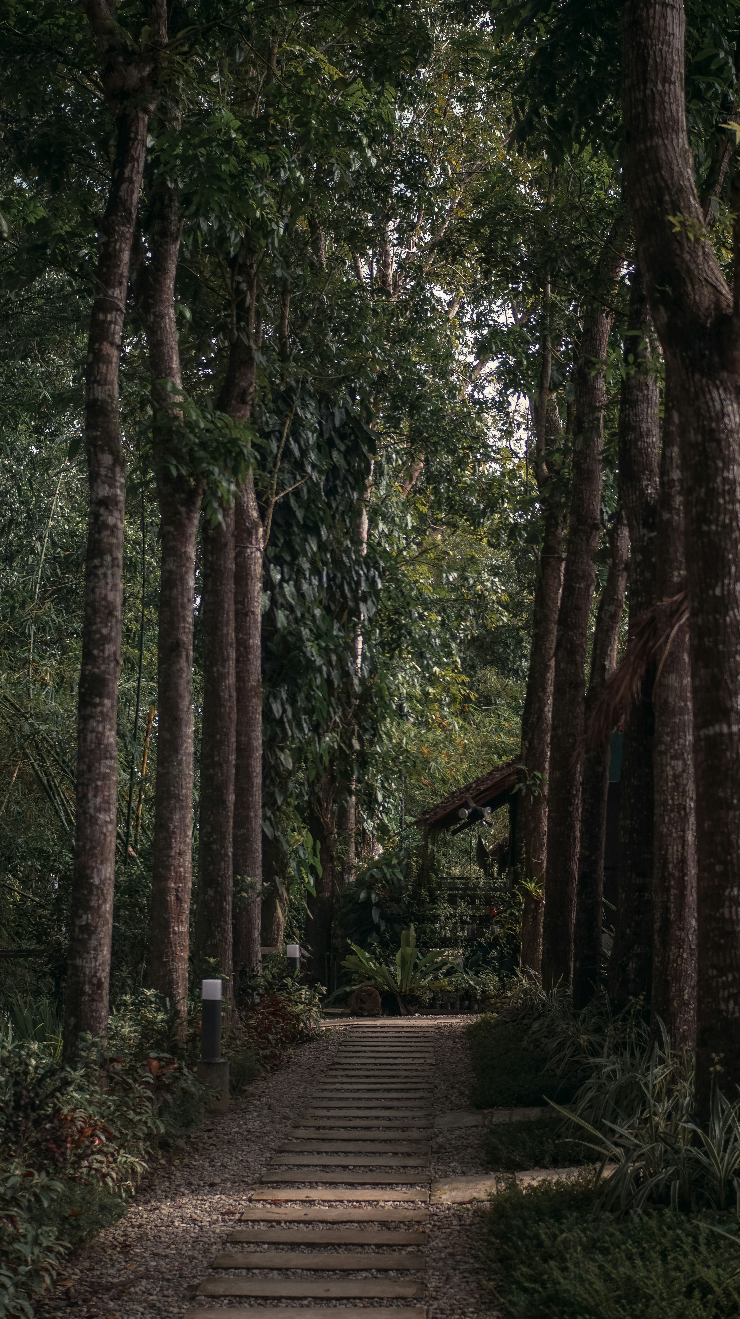 Photo by adamnavarro_