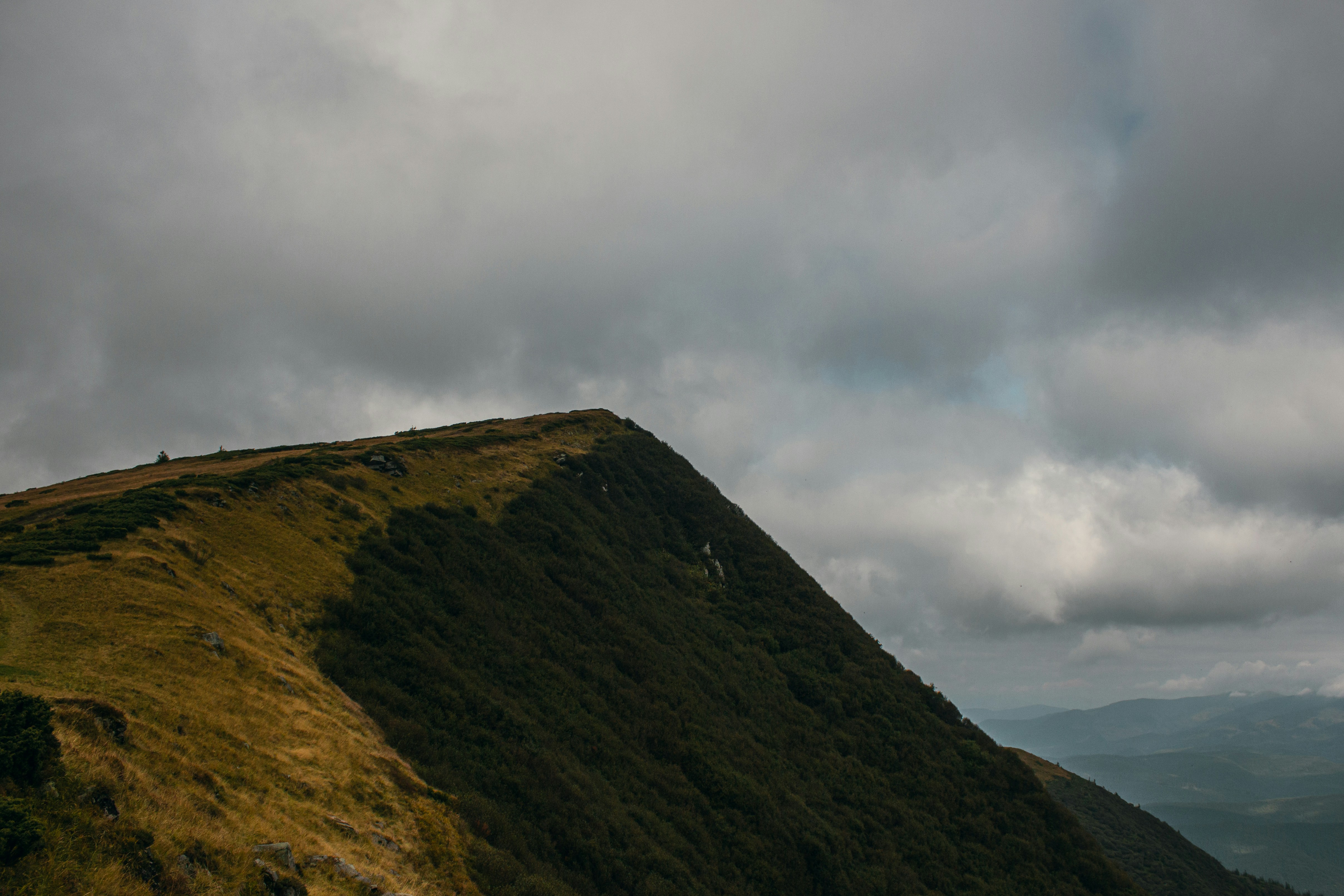 Photo by samoyedness