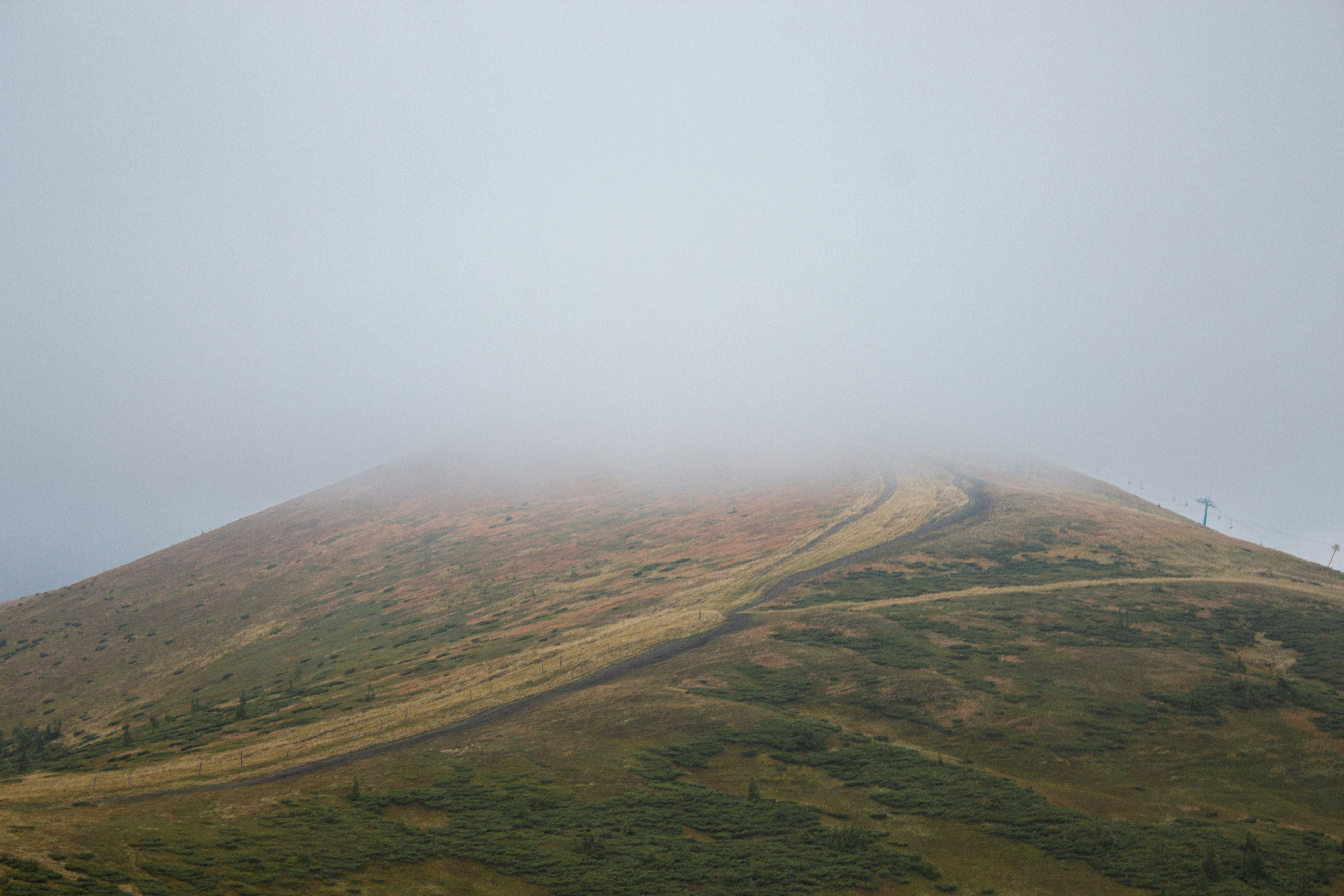 Photo by samoyedness