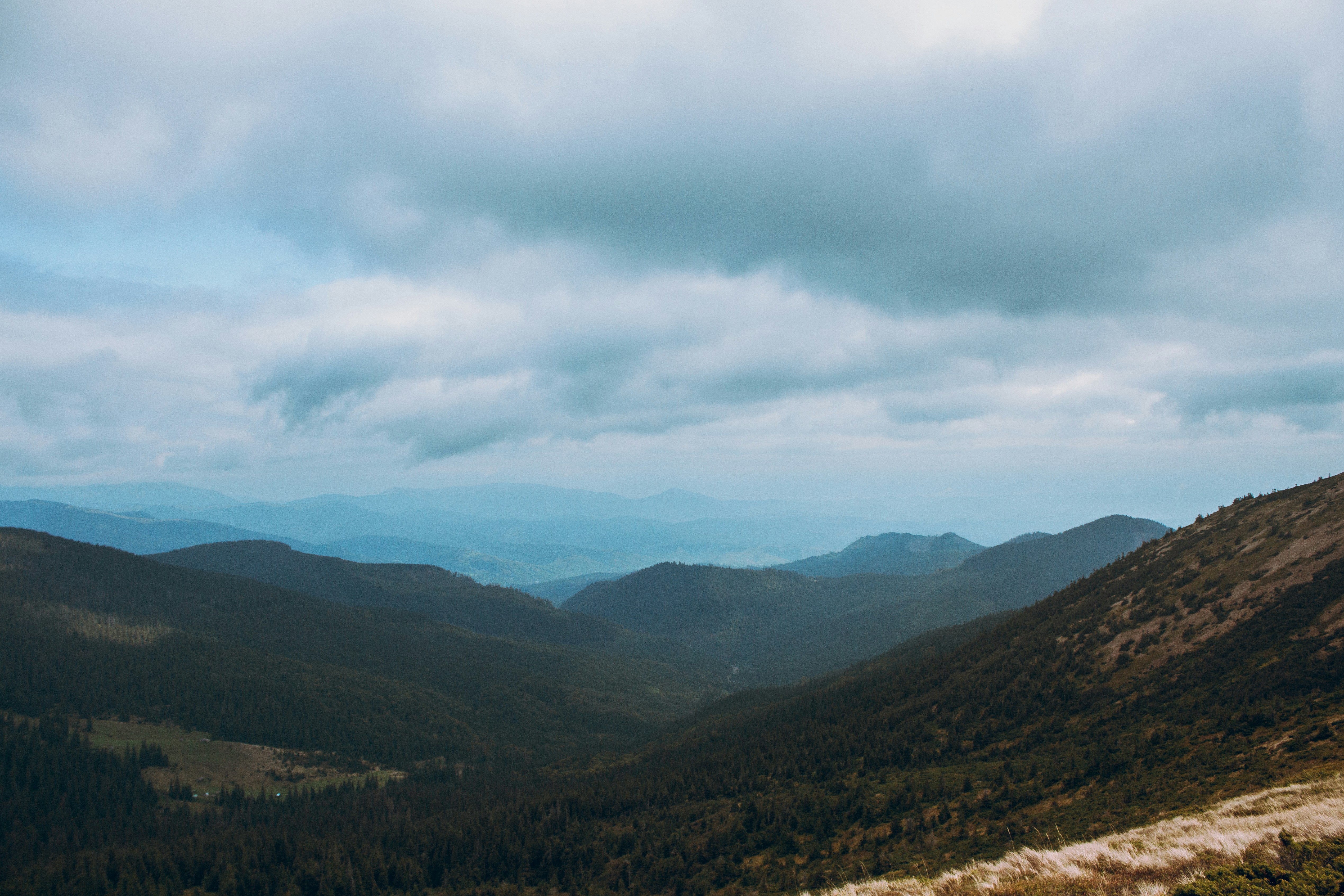 Photo by samoyedness