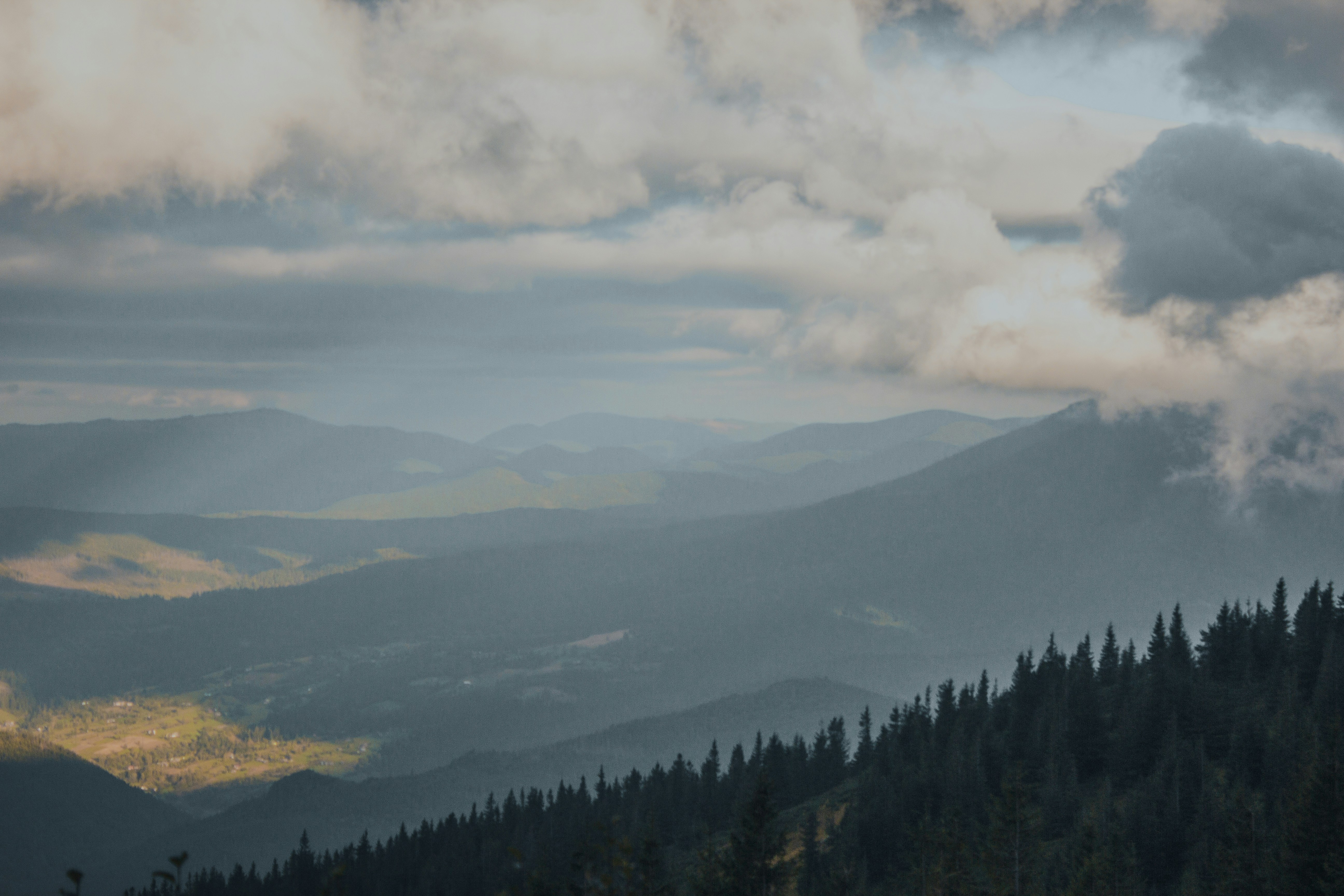 Photo by samoyedness