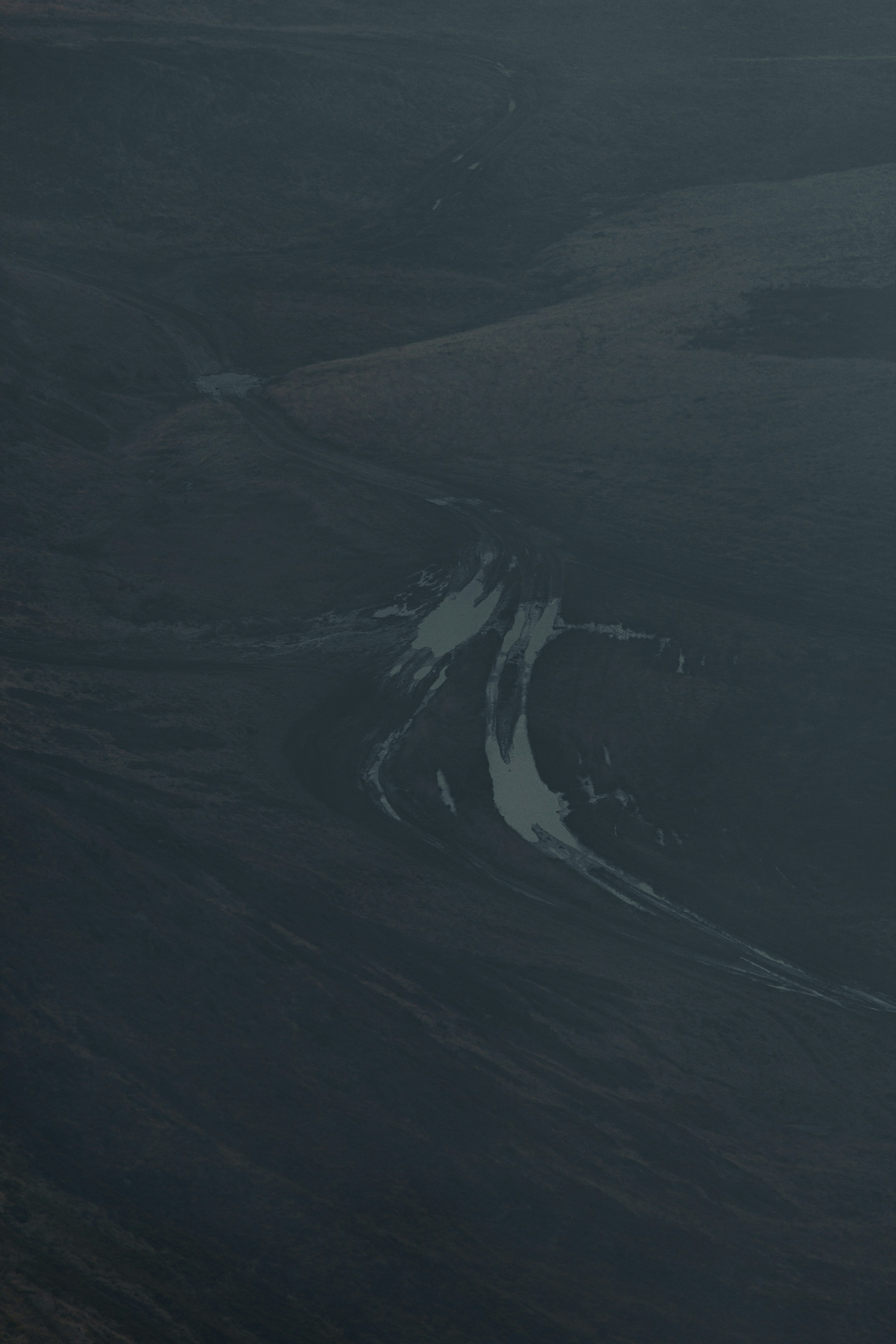 Photo by samoyedness