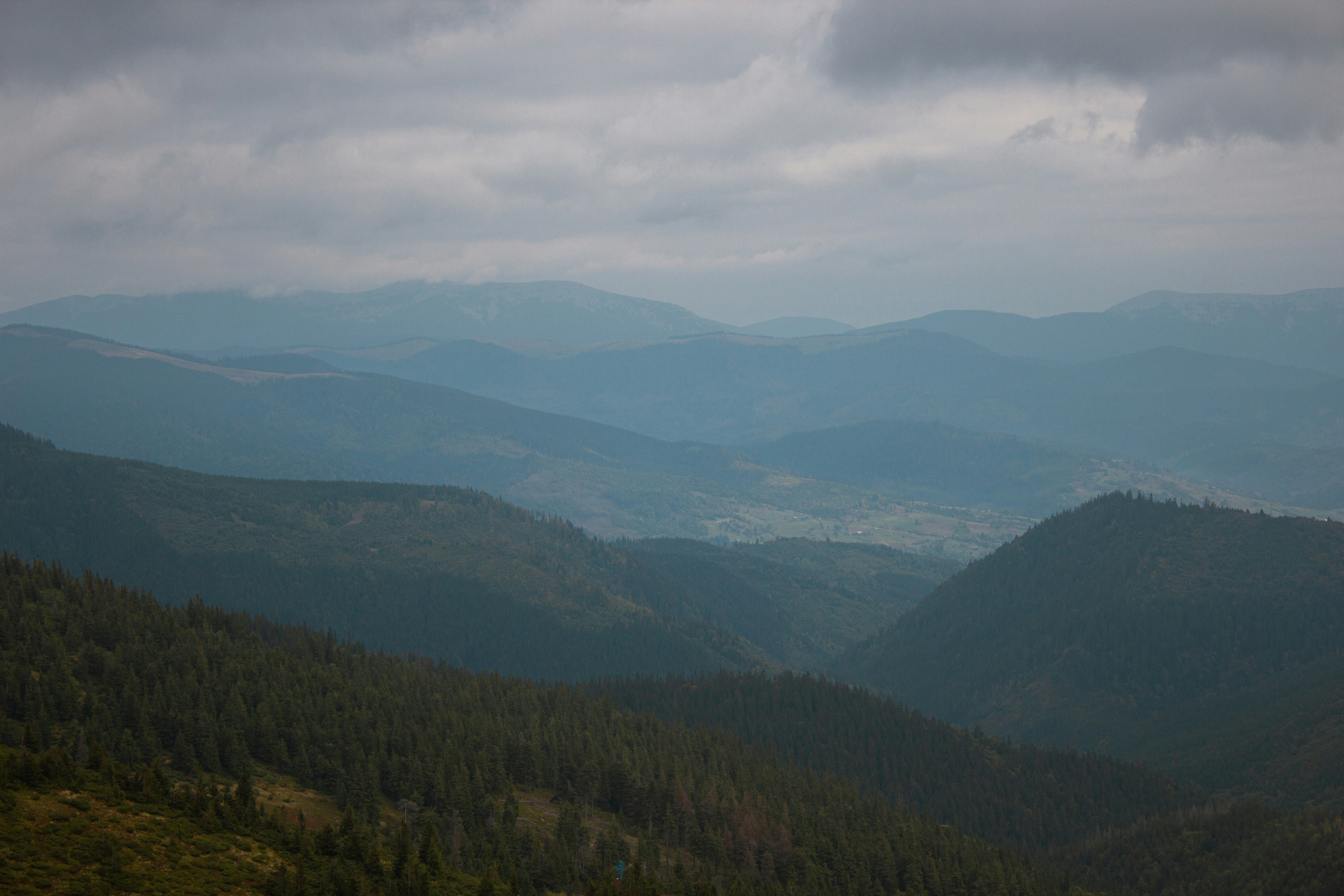 Photo by samoyedness