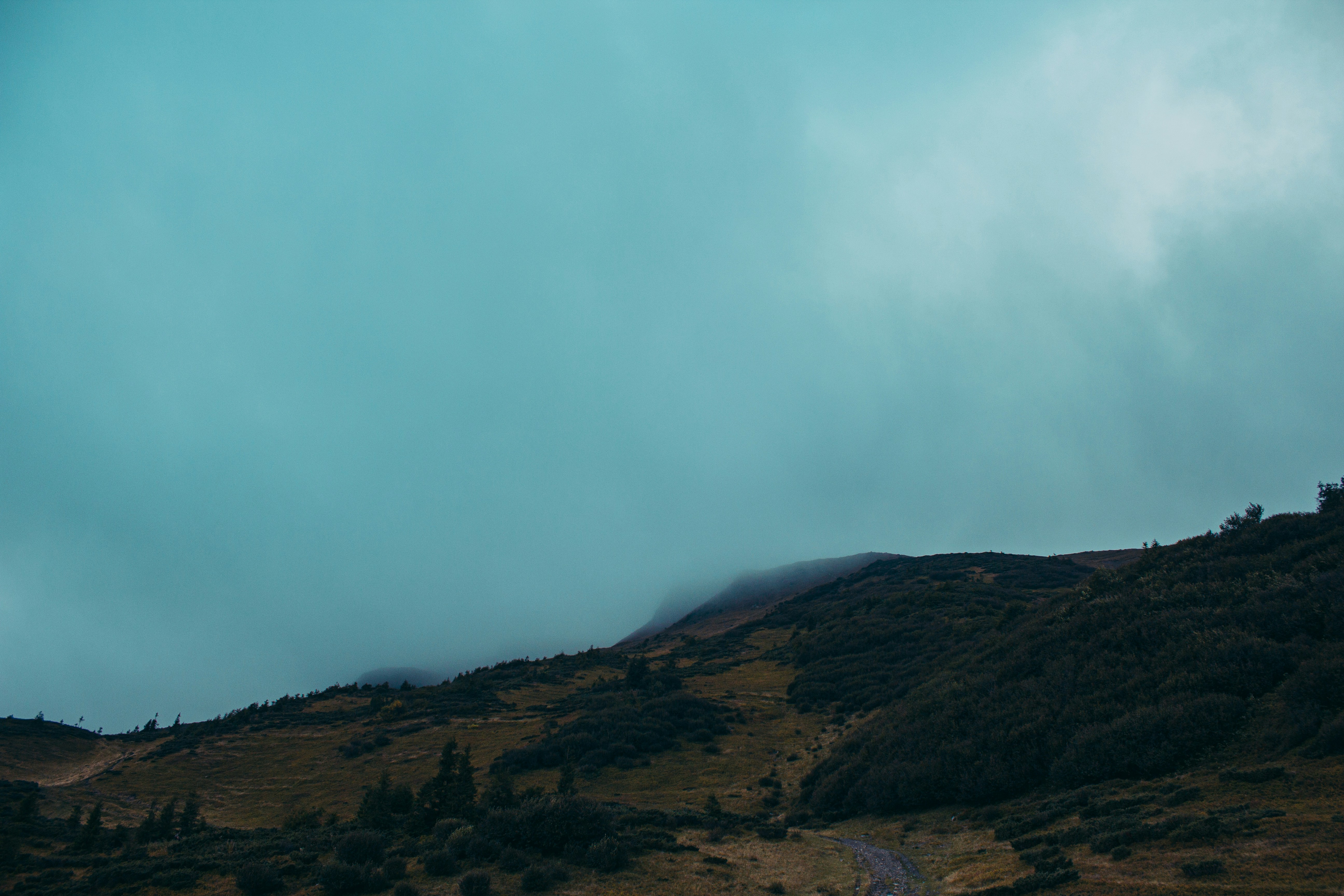 Photo by samoyedness