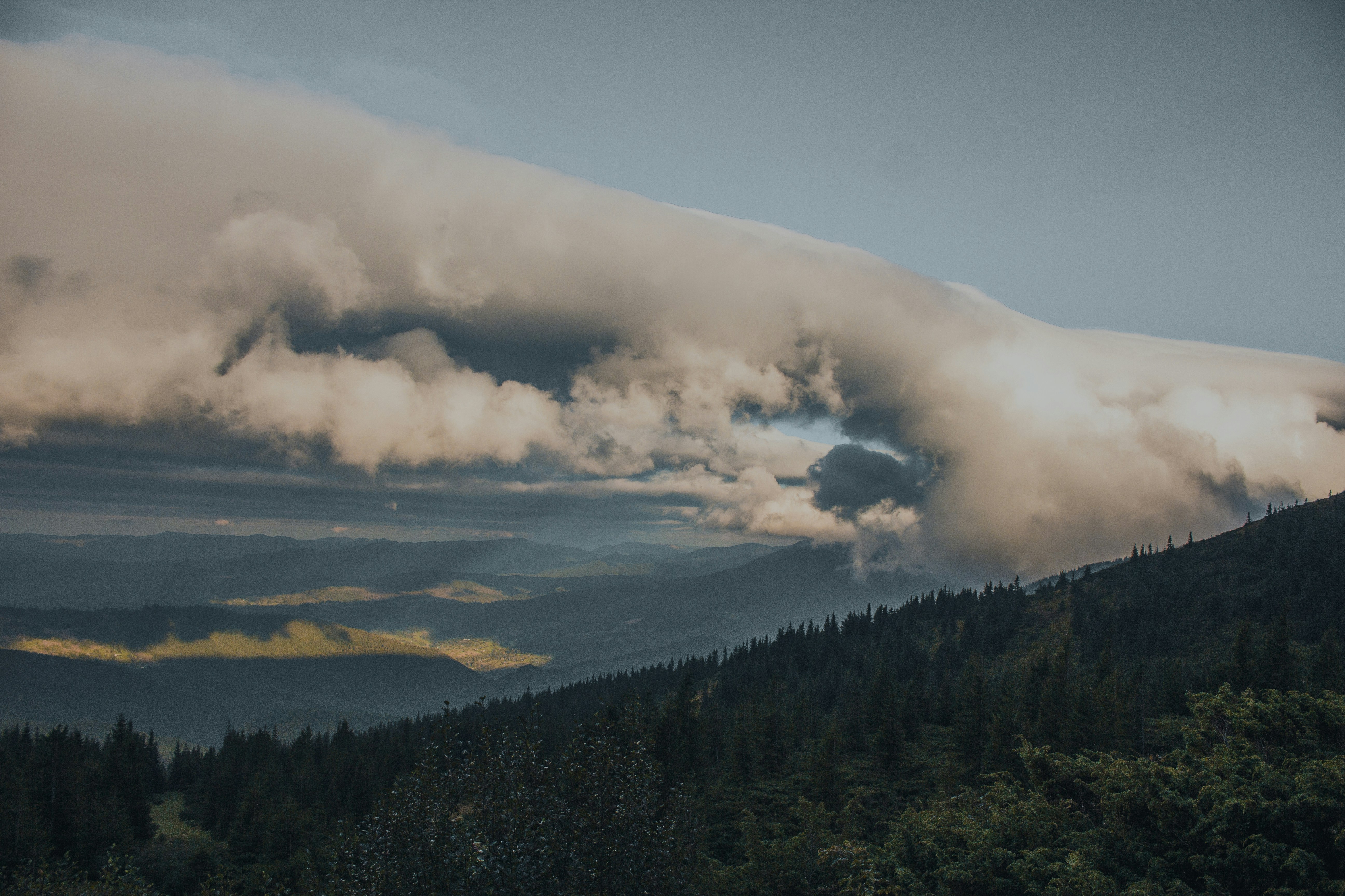 Photo by samoyedness