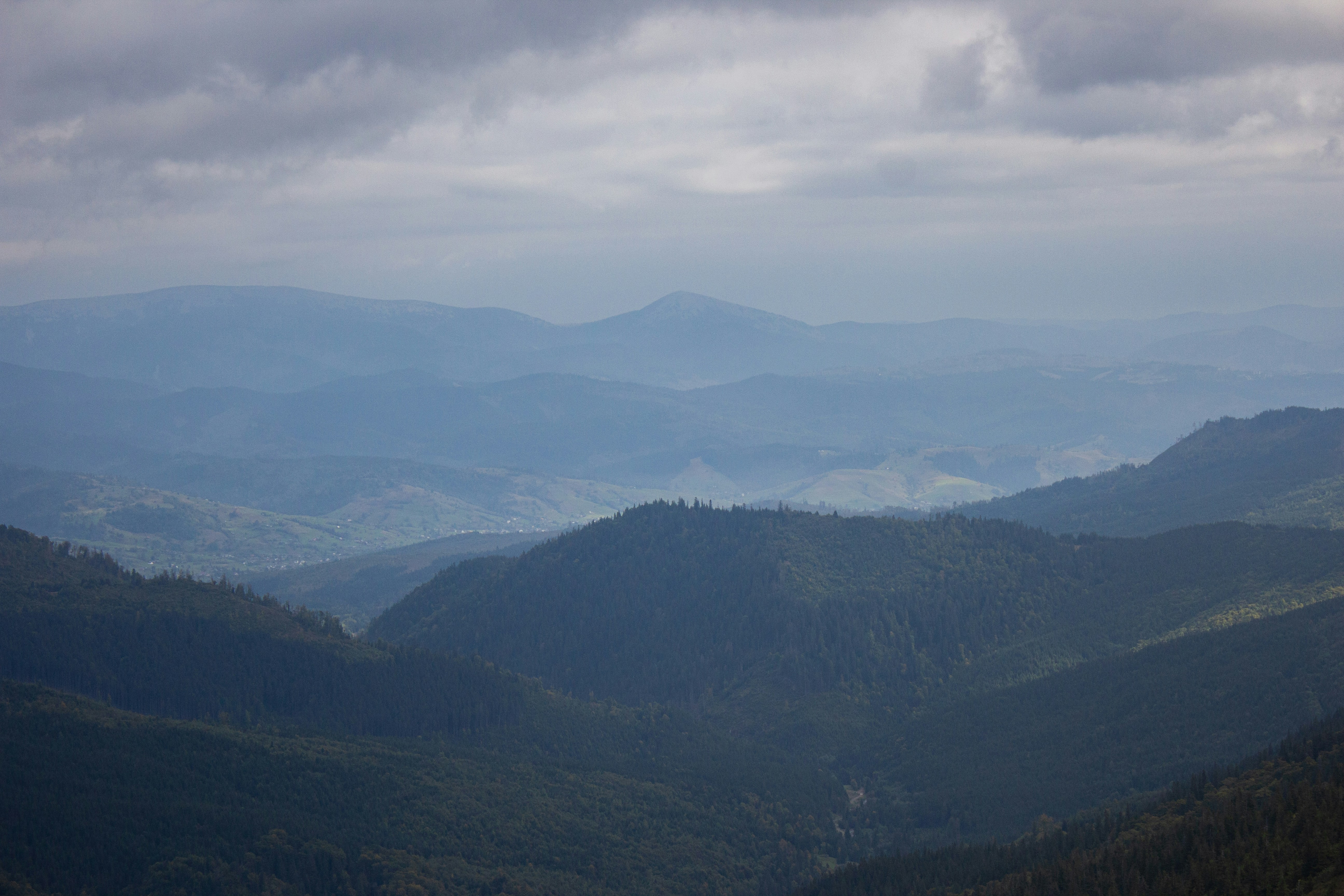 Photo by samoyedness