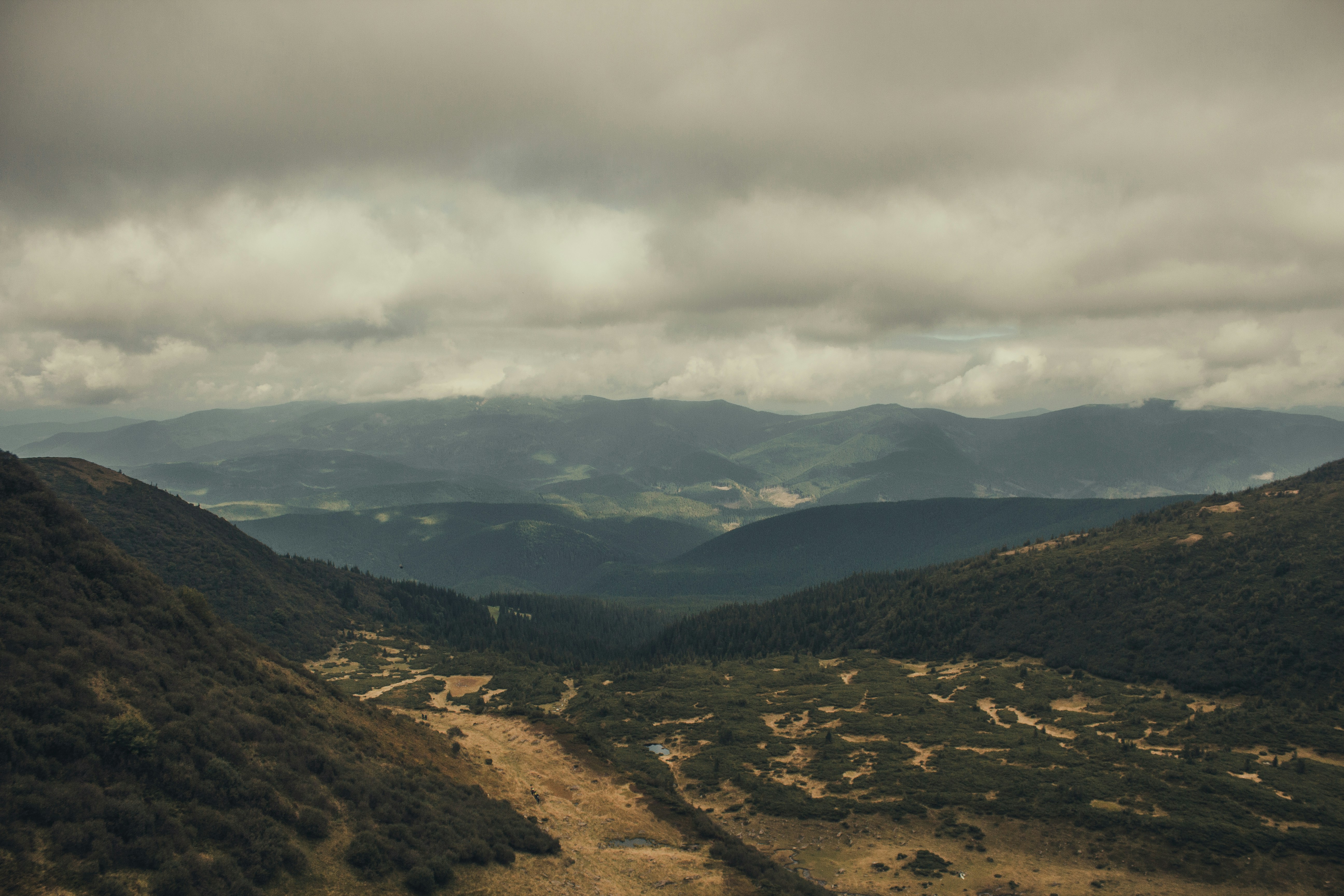 Photo by samoyedness