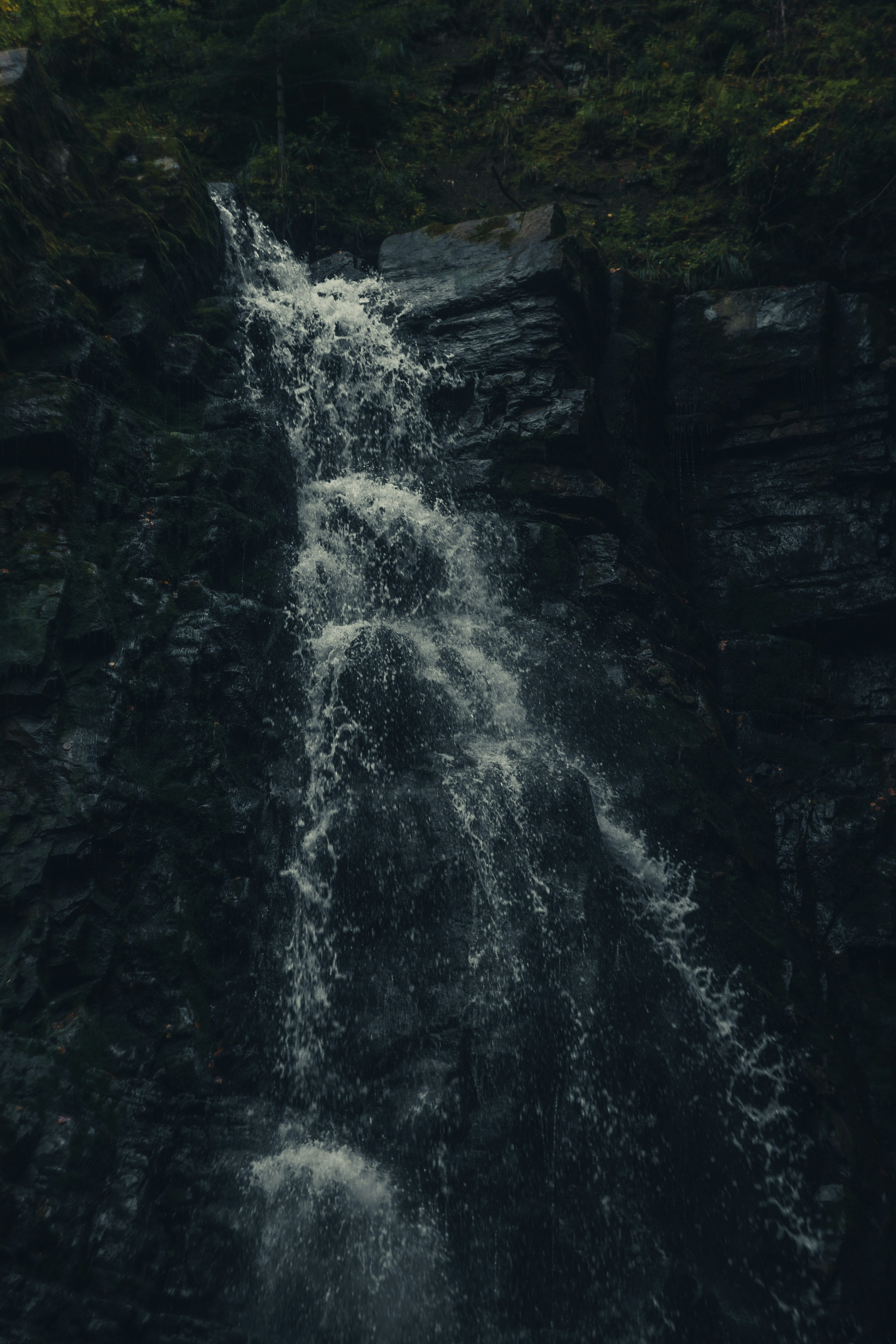 Photo by samoyedness