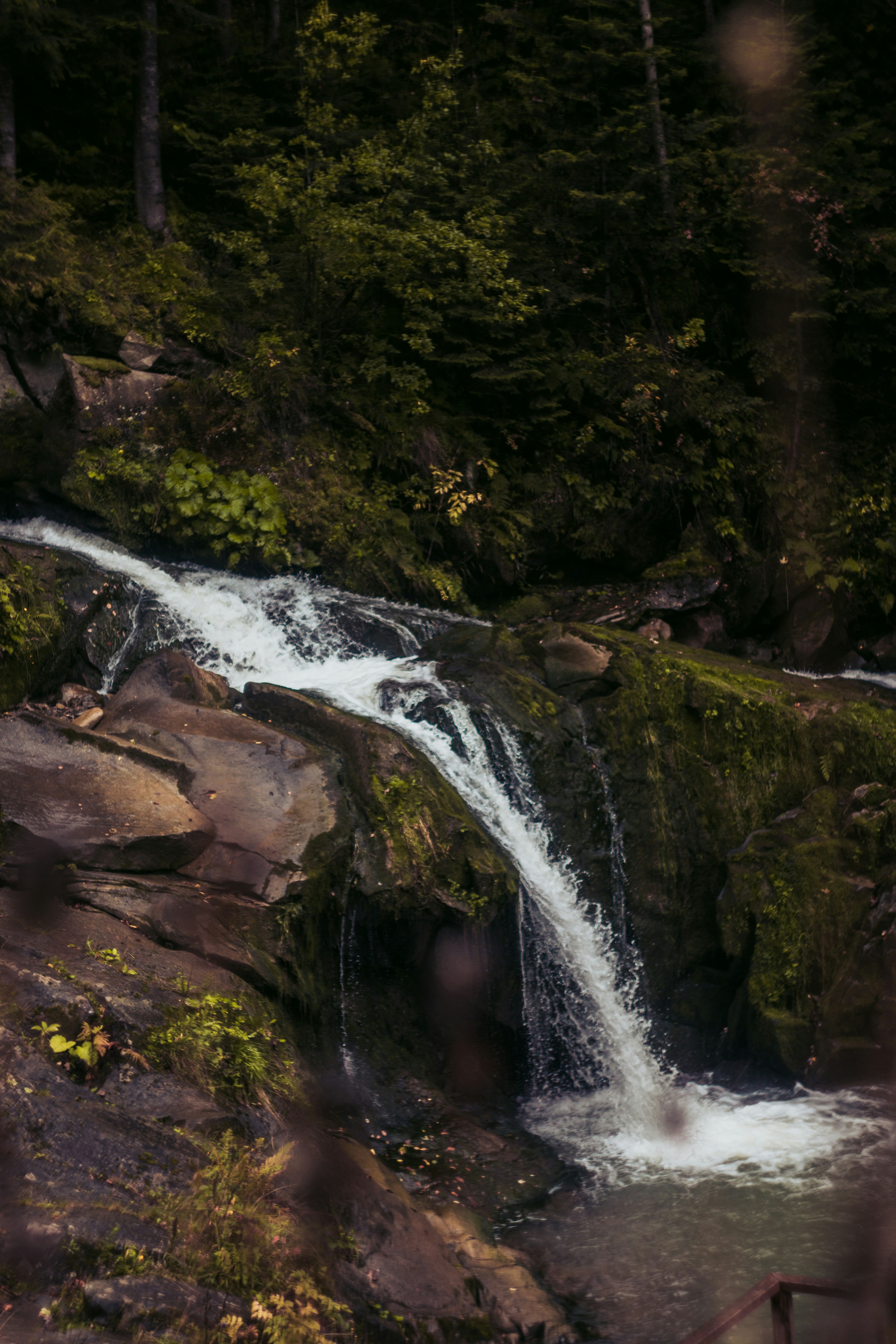 Photo by samoyedness