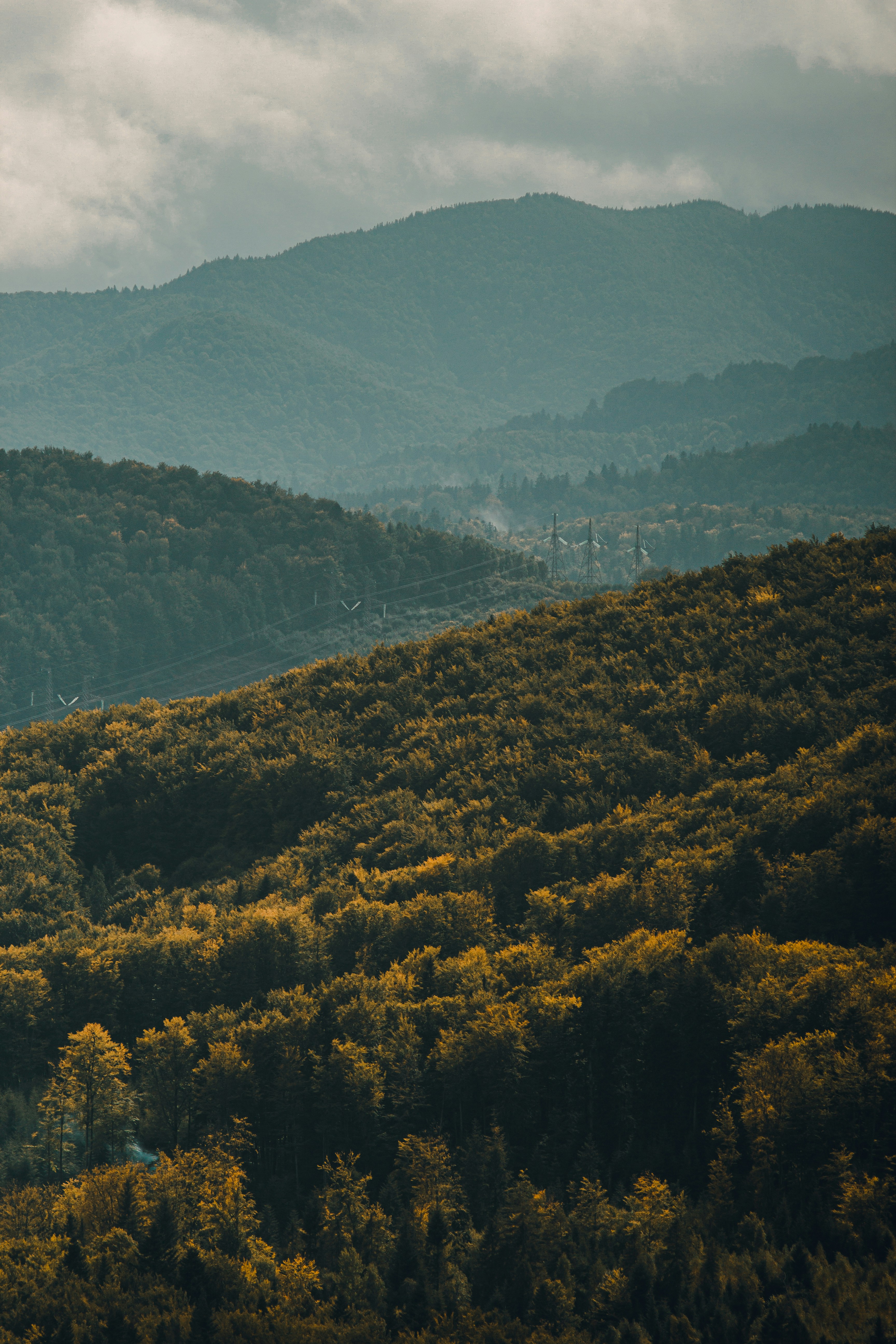 Photo by samoyedness