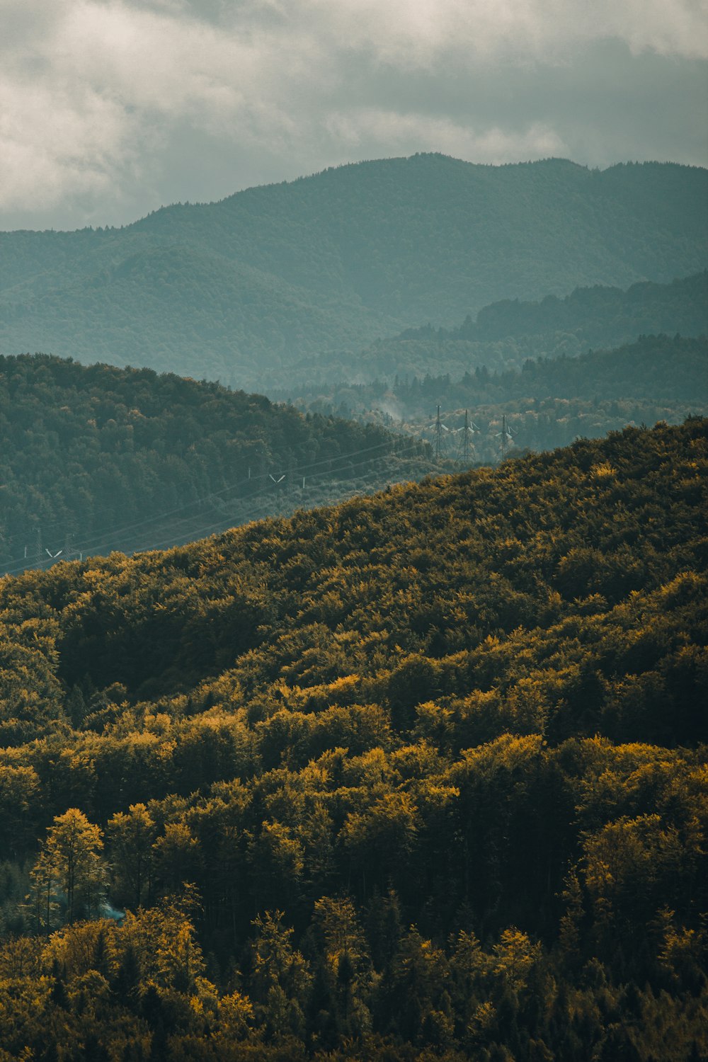 a view of a mountain range with trees in the foreground