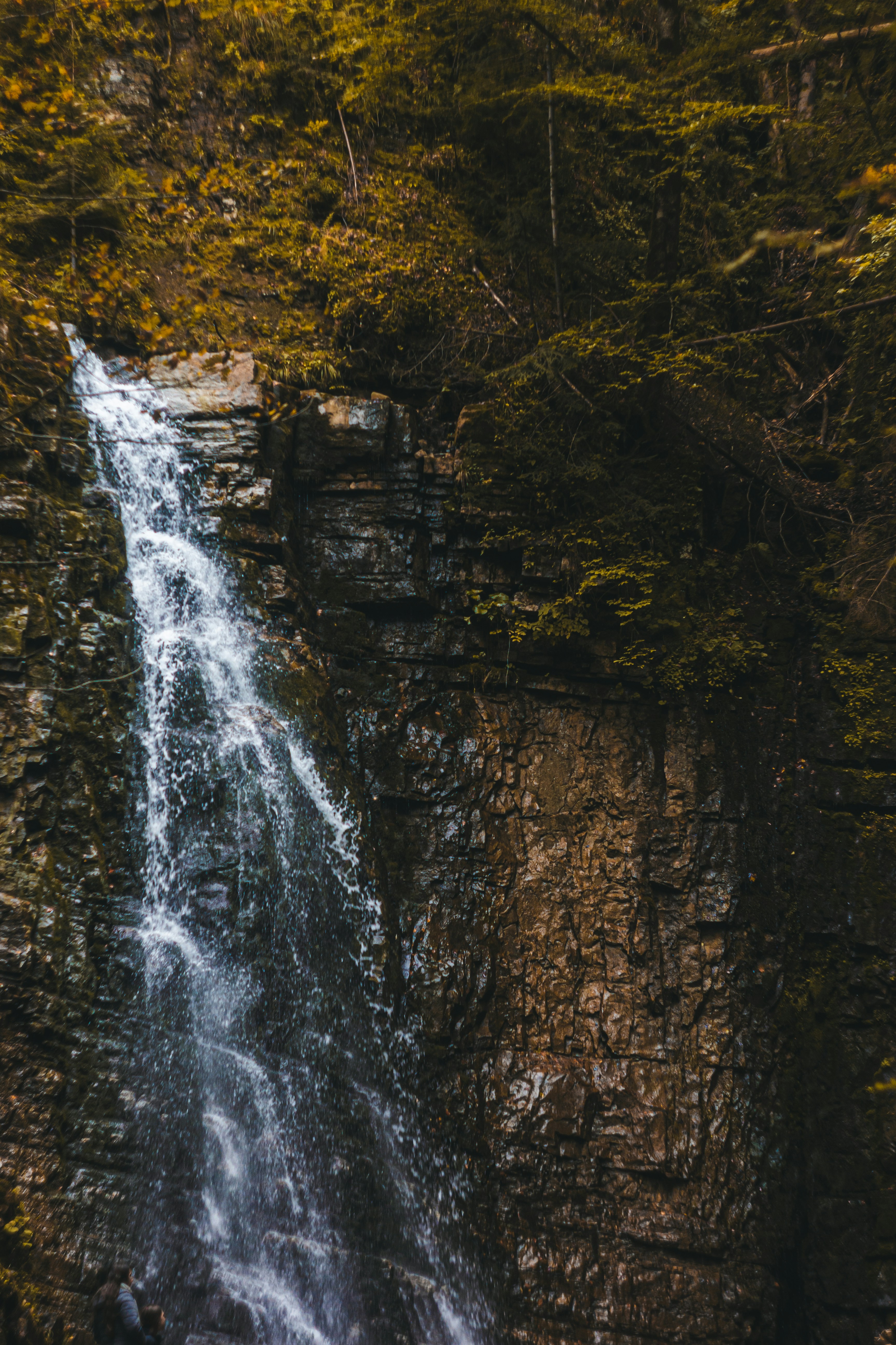 Photo by samoyedness