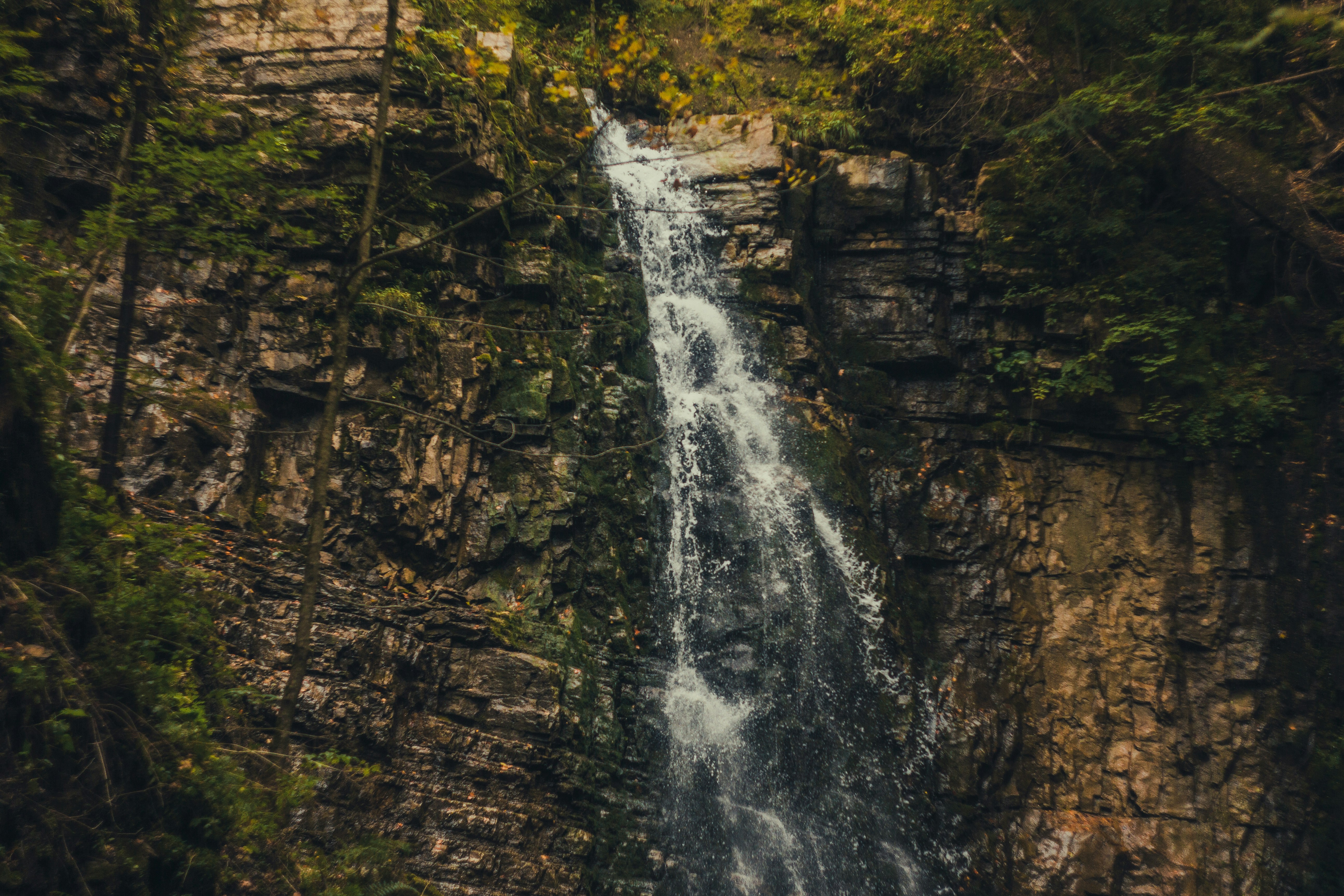 Photo by samoyedness