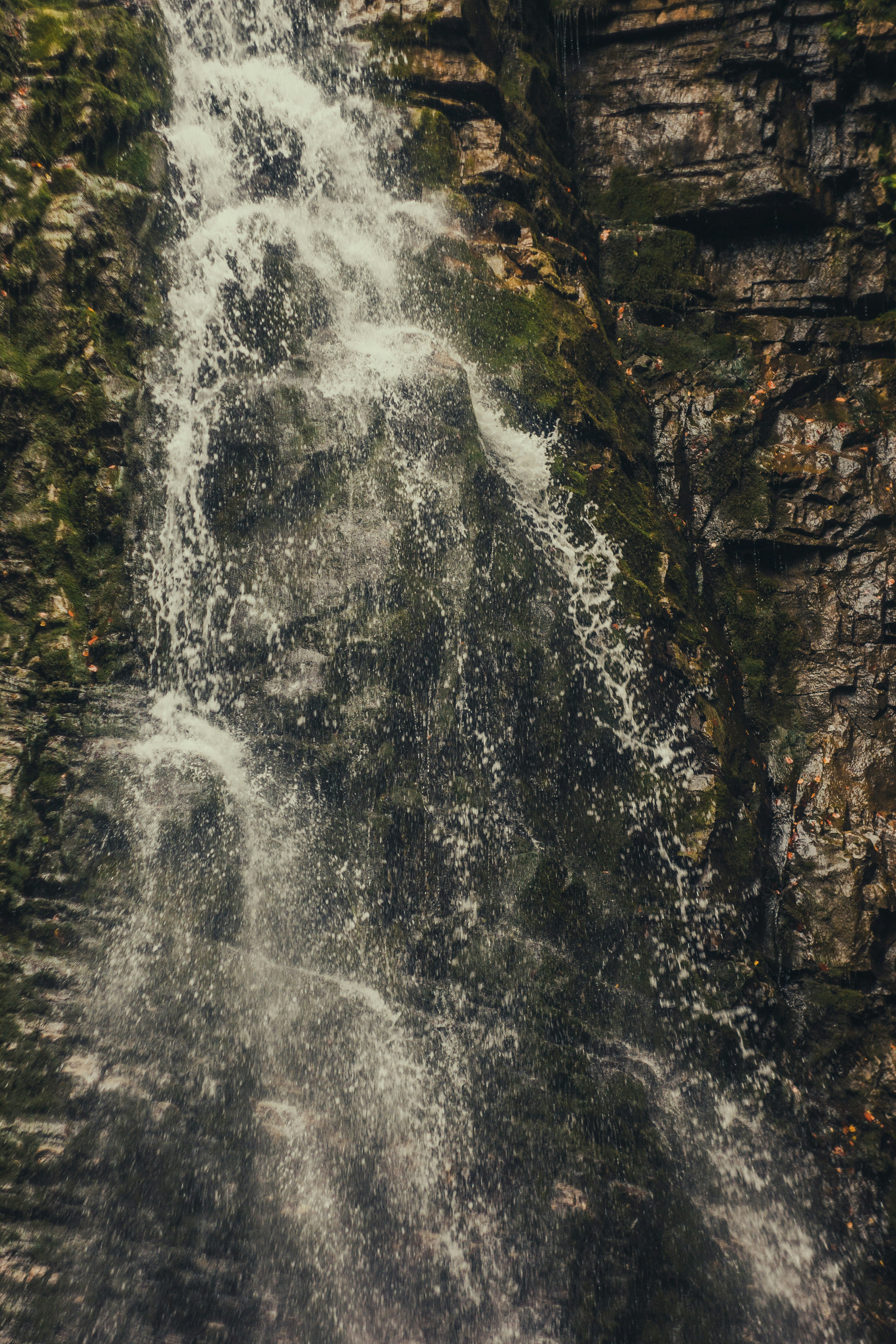 Photo by samoyedness