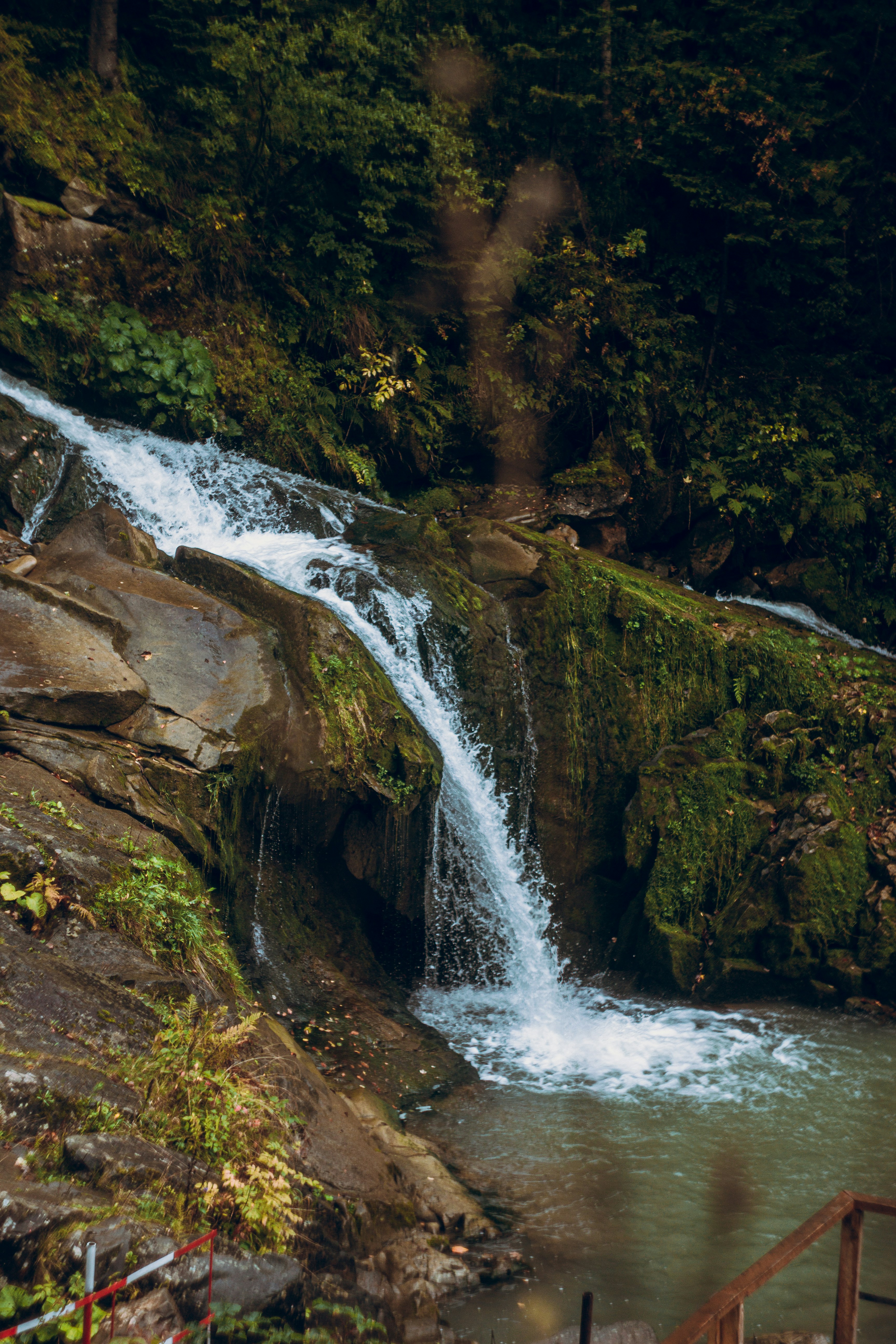 Photo by samoyedness