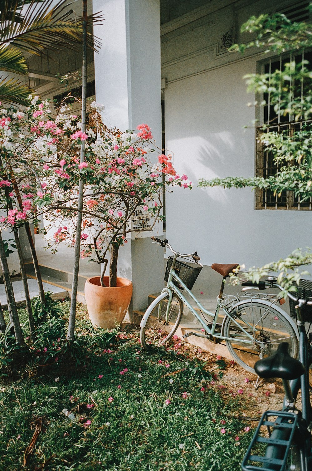 a bicycle parked next to a house with pink flowers