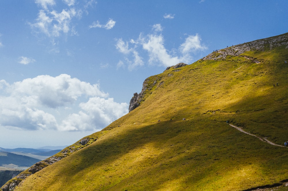 a grassy hill with a path going up it