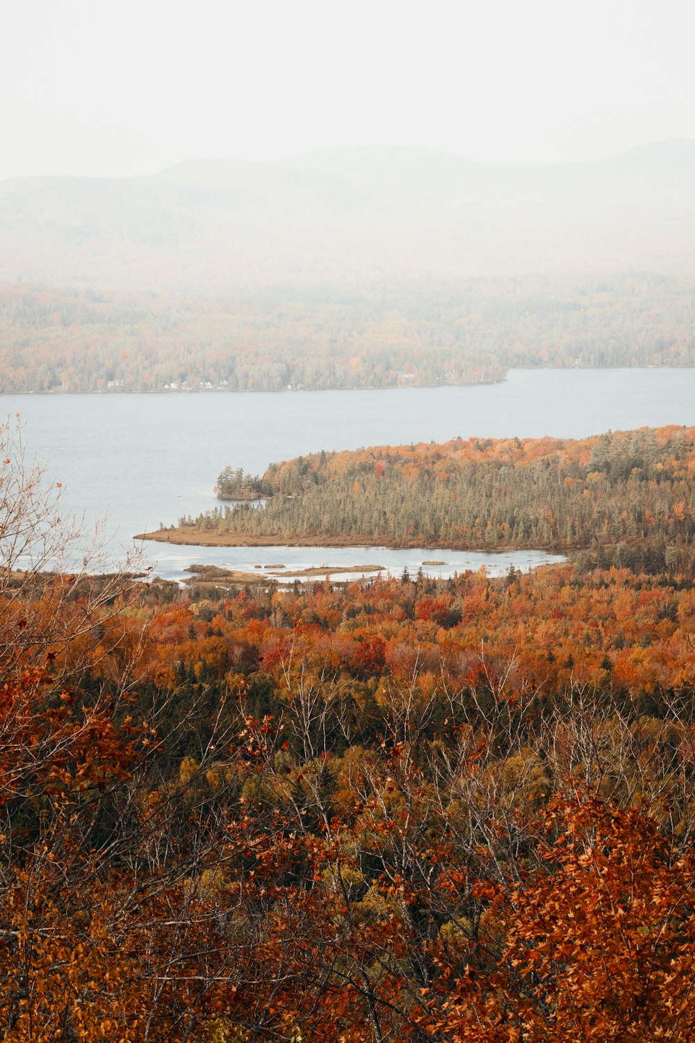 a large body of water surrounded by trees