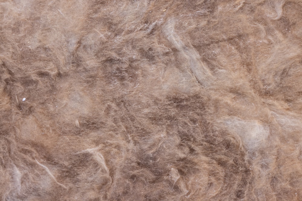 un gros plan d’une texture de fourrure brune et blanche