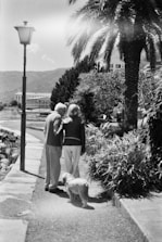A black and white photograph of an elderly couple walking a dog along a path lined with lush vegetation and a palm tree. The couple is holding hands, creating a sense of companionship and warmth. A vintage-style street lamp stands nearby, and in the distant background, there are mountains and a building.