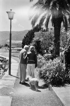 A black and white photograph of an elderly couple walking a dog along a path lined with lush vegetation and a palm tree. The couple is holding hands, creating a sense of companionship and warmth. A vintage-style street lamp stands nearby, and in the distant background, there are mountains and a building.