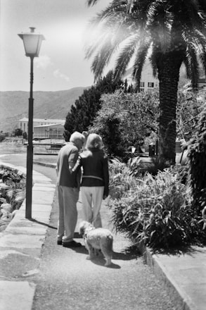 A black and white photograph of an elderly couple walking a dog along a path lined with lush vegetation and a palm tree. The couple is holding hands, creating a sense of companionship and warmth. A vintage-style street lamp stands nearby, and in the distant background, there are mountains and a building.
