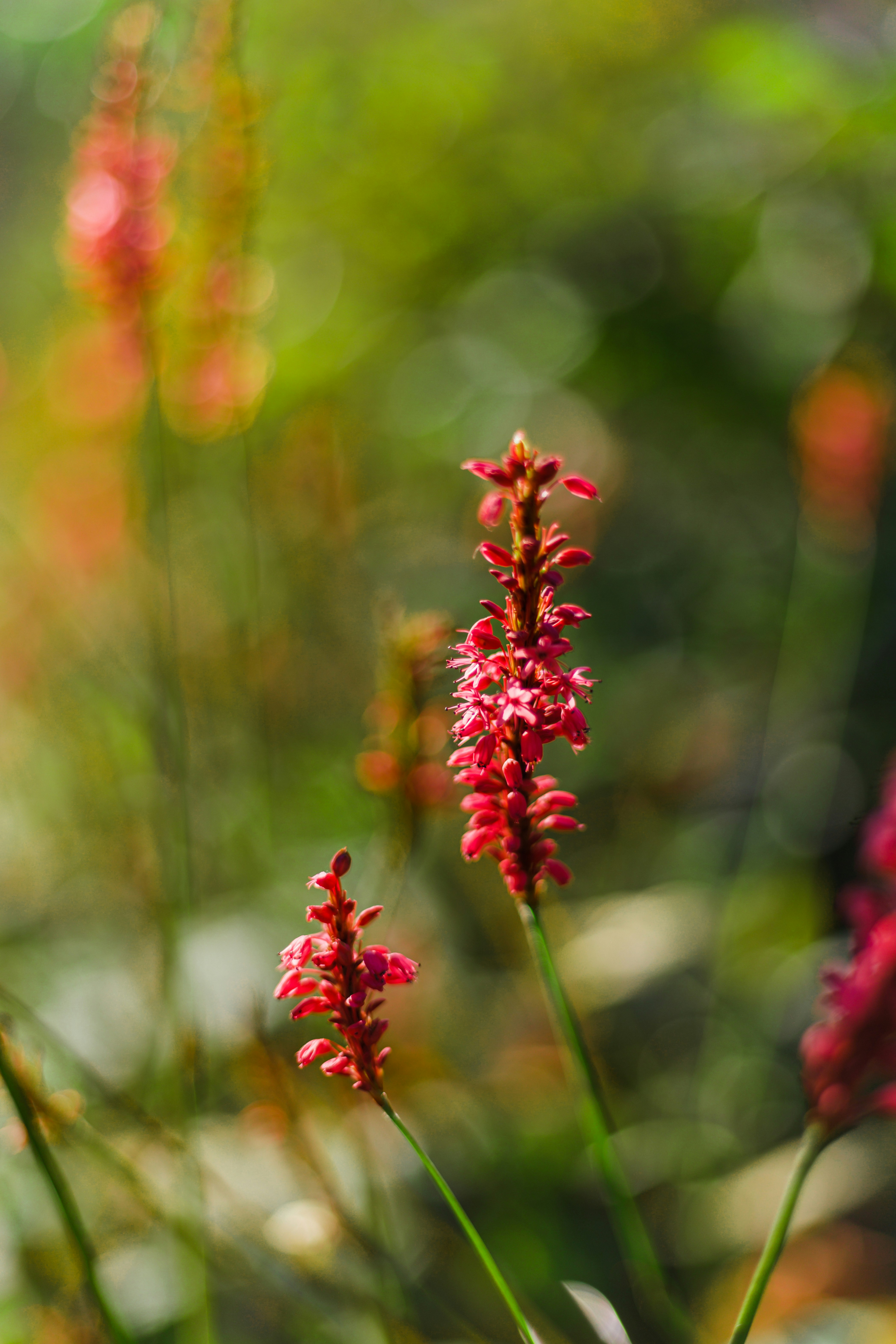 Photo by one_perfect_morning