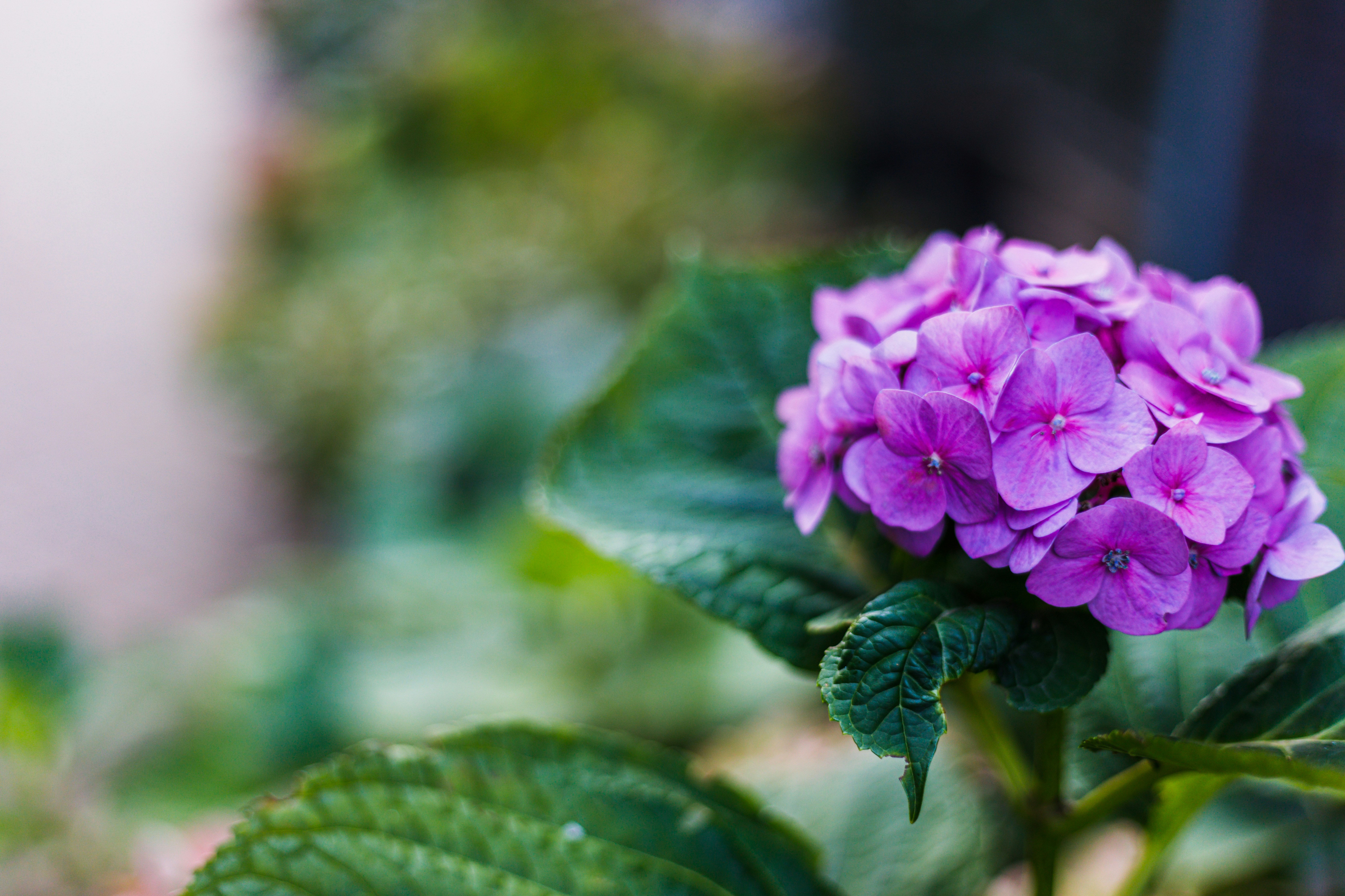 Photo by one_perfect_morning