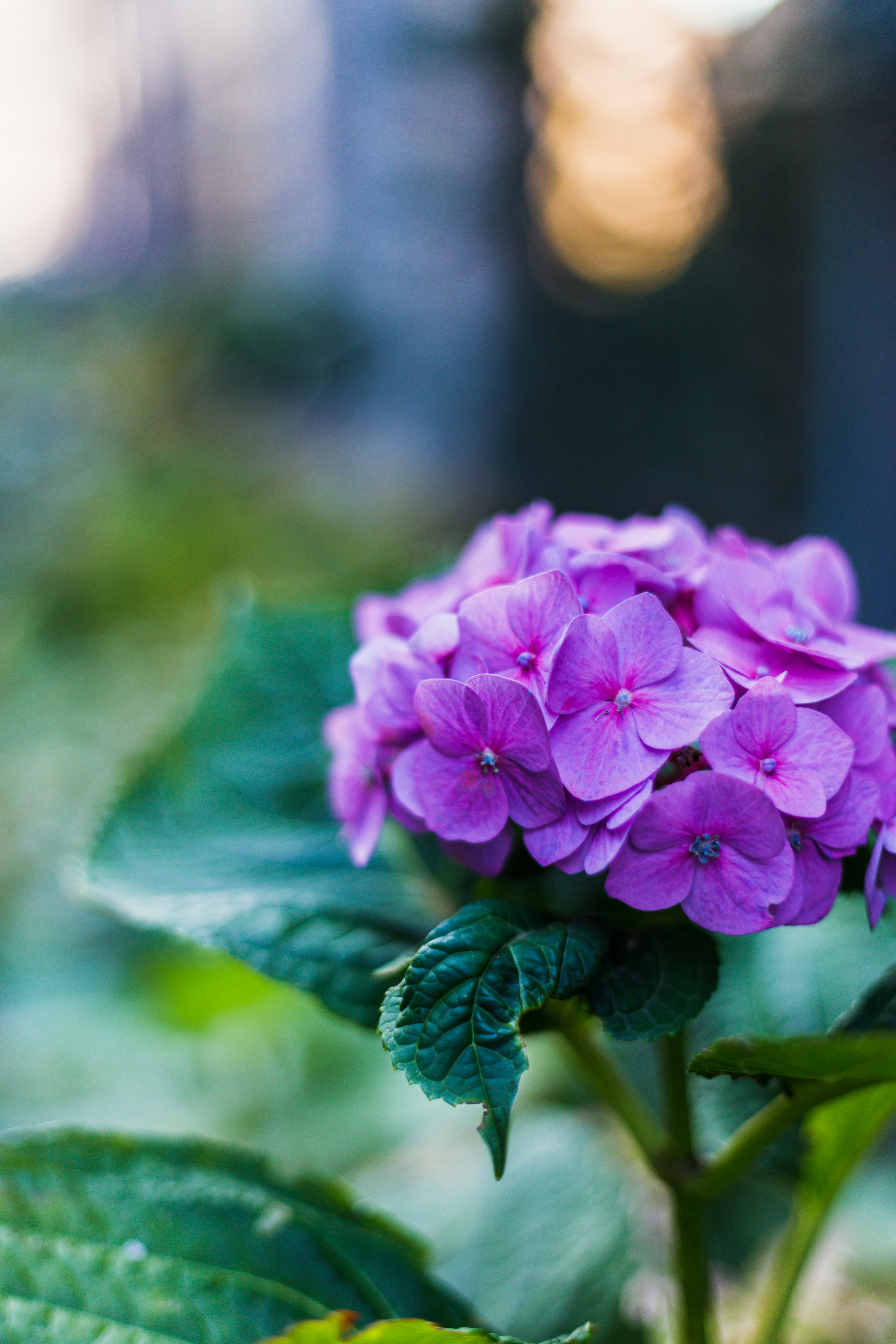 Photo by one_perfect_morning