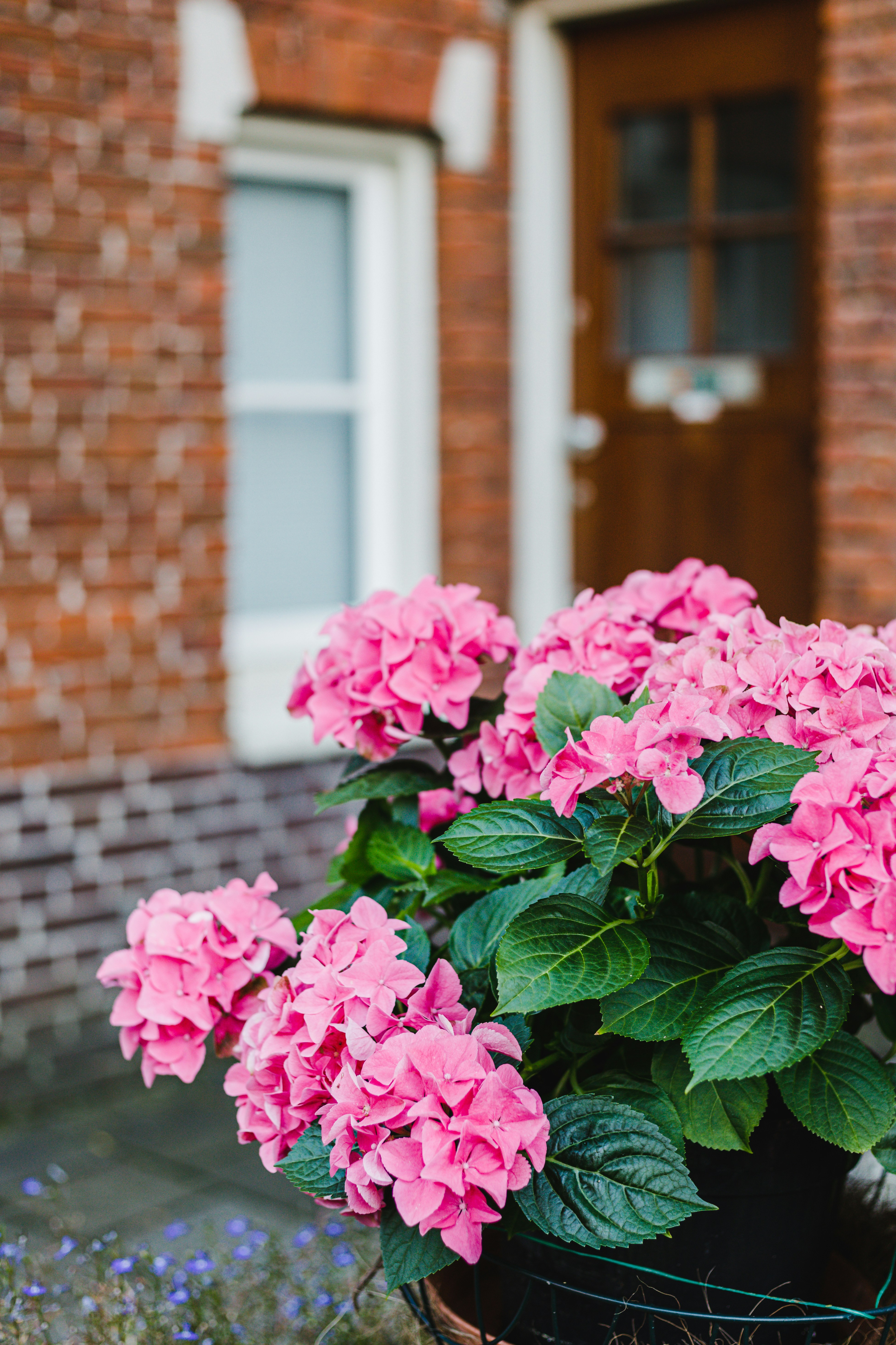 Photo by one_perfect_morning