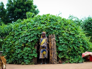 A woman dressed in a vibrant, patterned dress stands in front of a hut covered entirely in green leafy vines. The structure is made with natural materials and blends into the surrounding vegetation. A sandy ground and a goat walking away can be seen in the foreground.