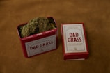 A red metal tin labeled 'Dad Grass' filled with dried hemp flowers sits next to a matching rectangular box. Both items feature vintage-style packaging design.