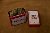 A red metal tin labeled 'Dad Grass' filled with dried hemp flowers sits next to a matching rectangular box. Both items feature vintage-style packaging design.
