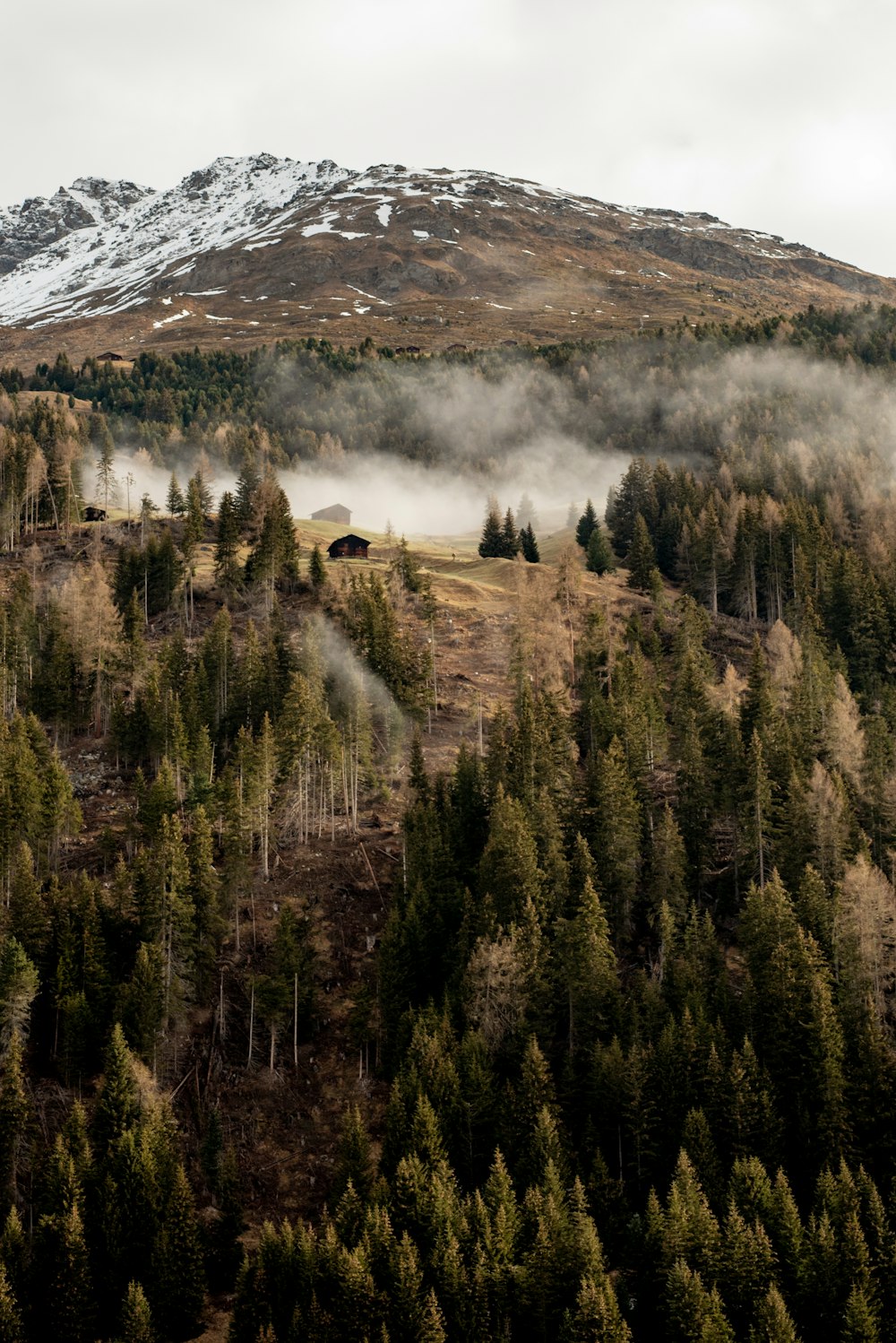 a mountain covered in fog with trees in the foreground