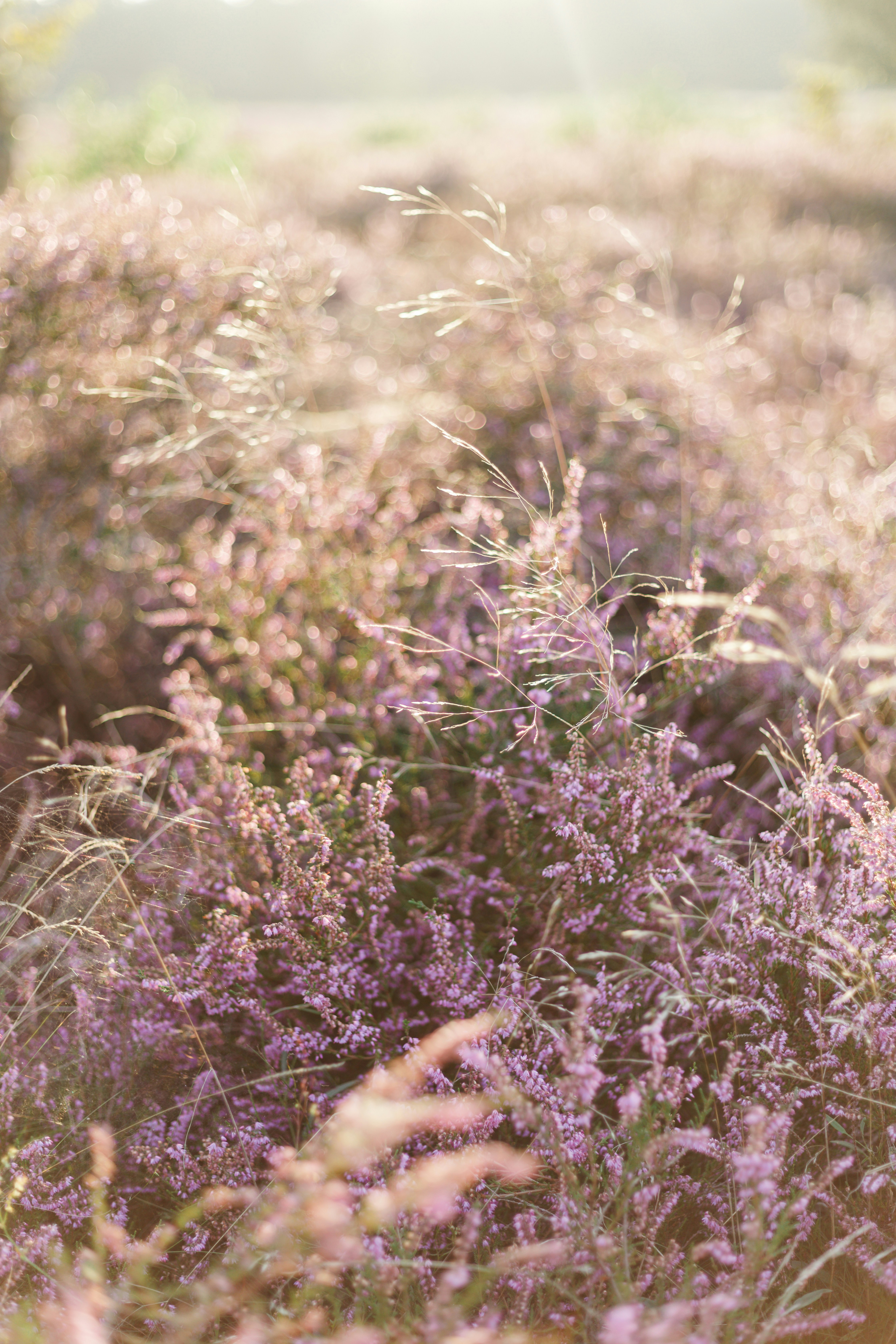 Photo by one_perfect_morning