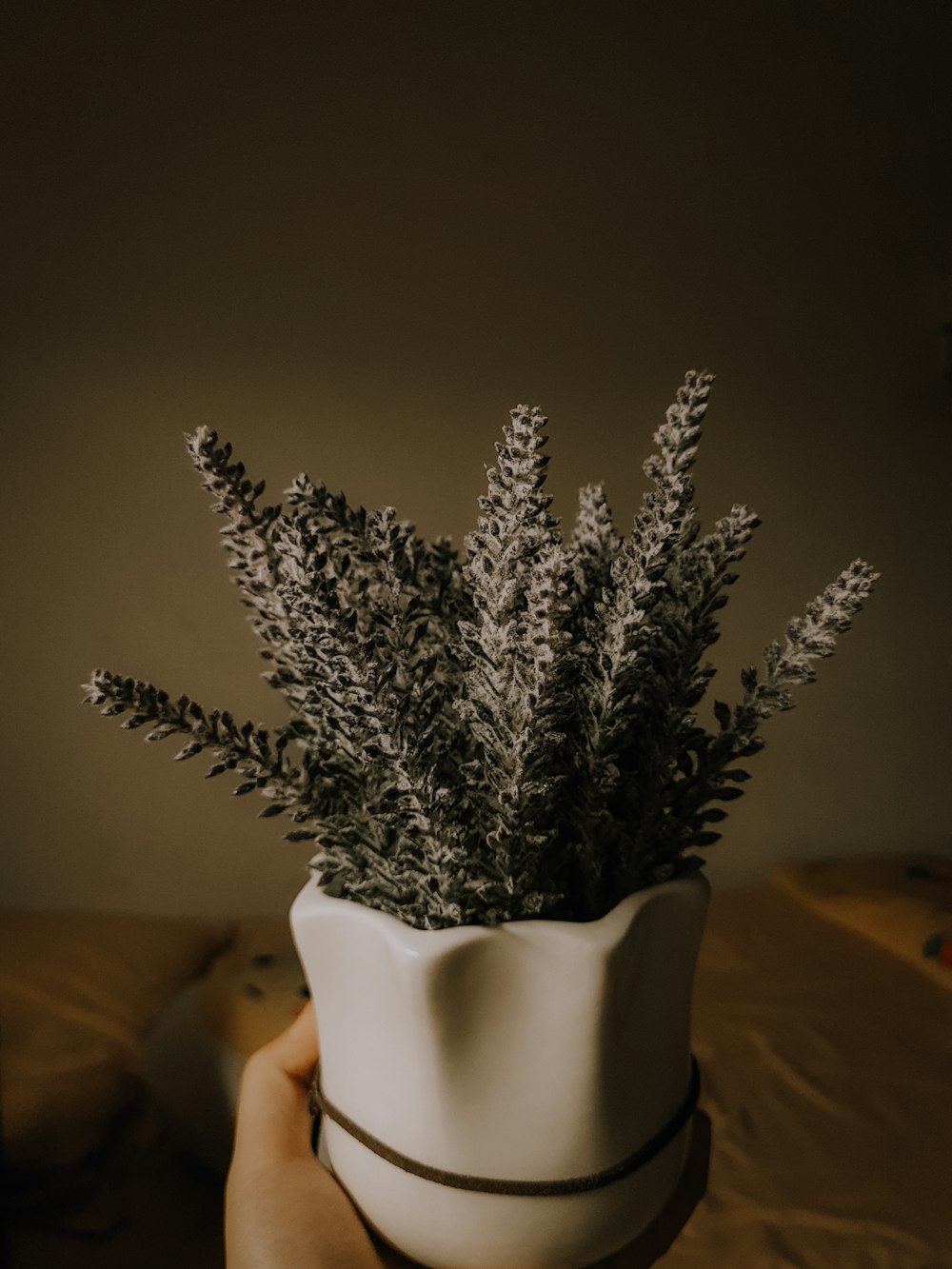 a person holding a white vase with a plant in it