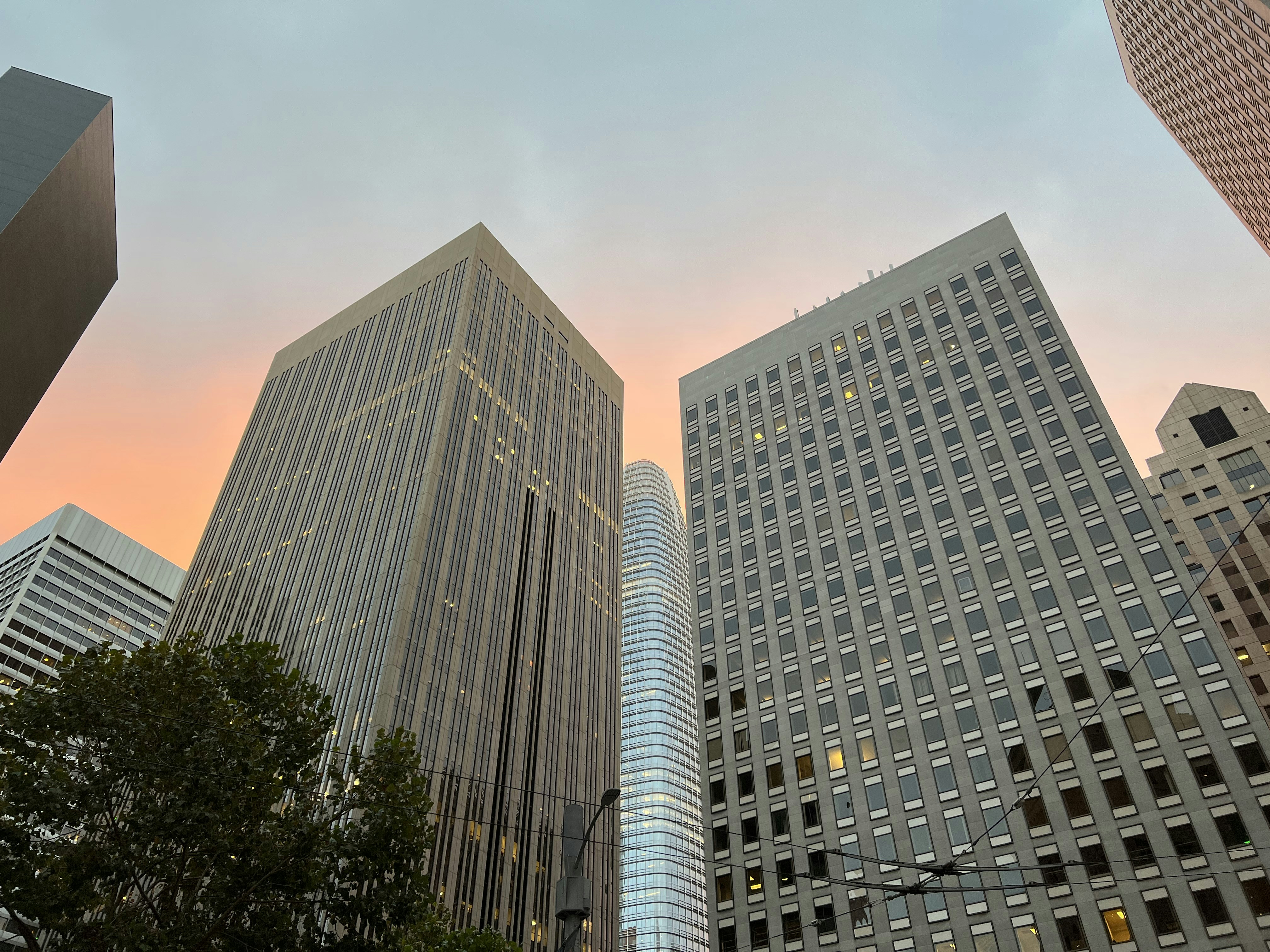 Photo by lanceplaine