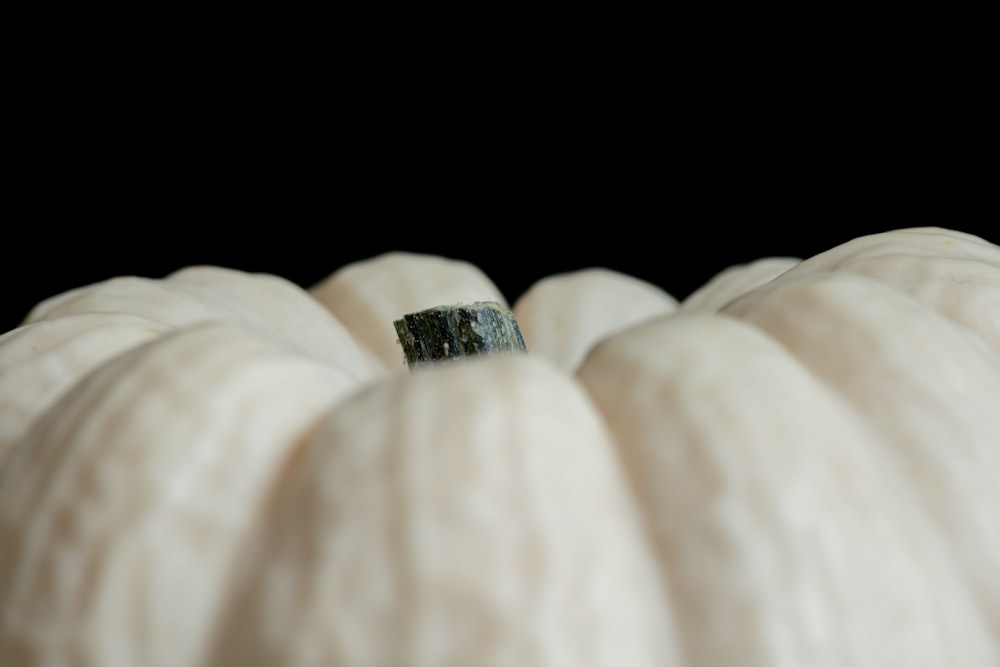 a close up of a white pumpkin with a black background