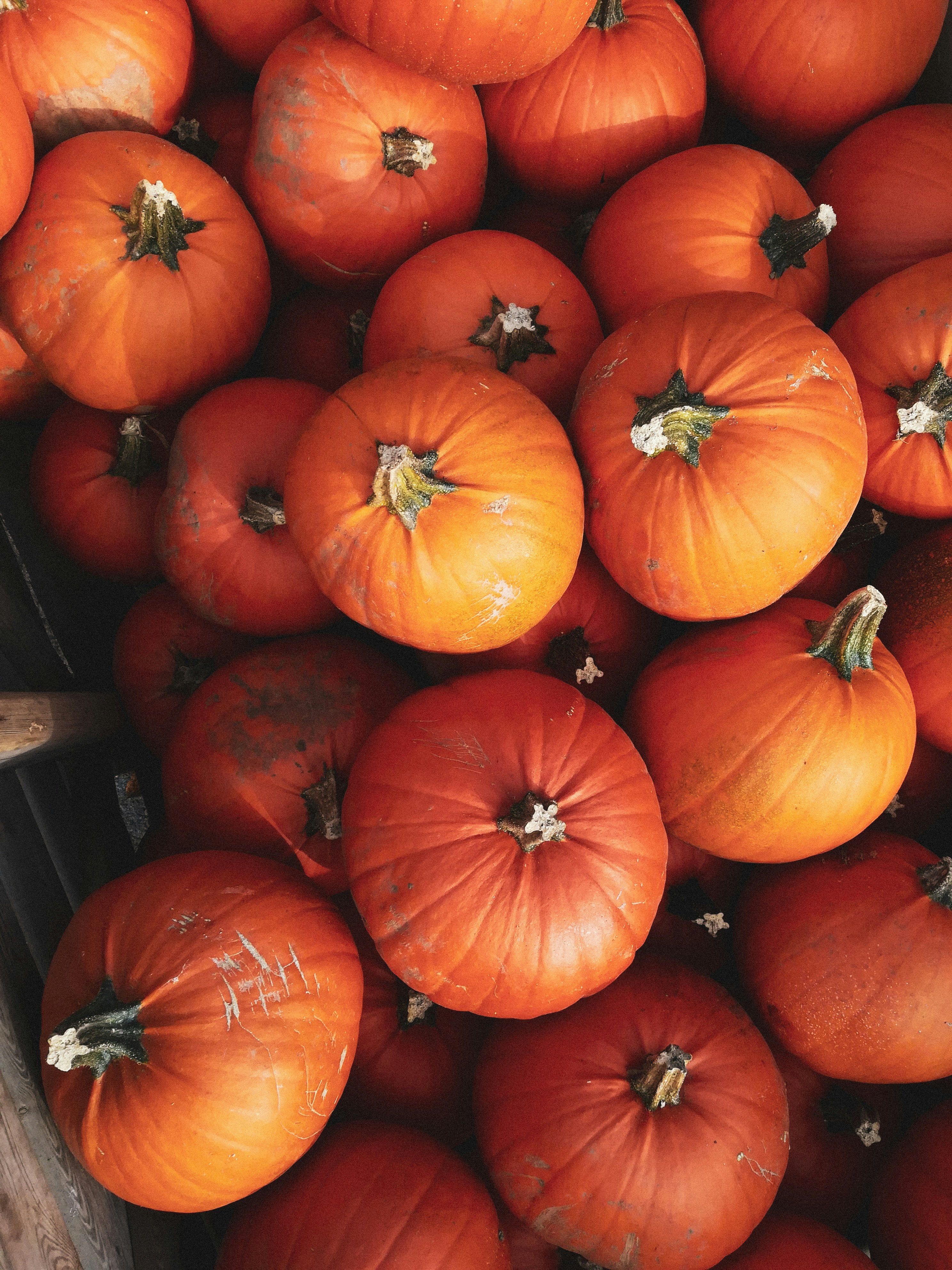 Photo by jacknilescreates