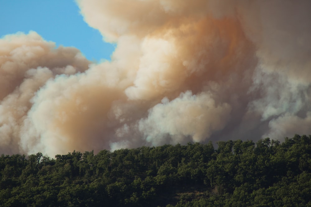 a large plume of smoke billows into the sky